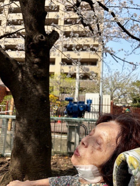 お花見-2　ニチイホーム住吉