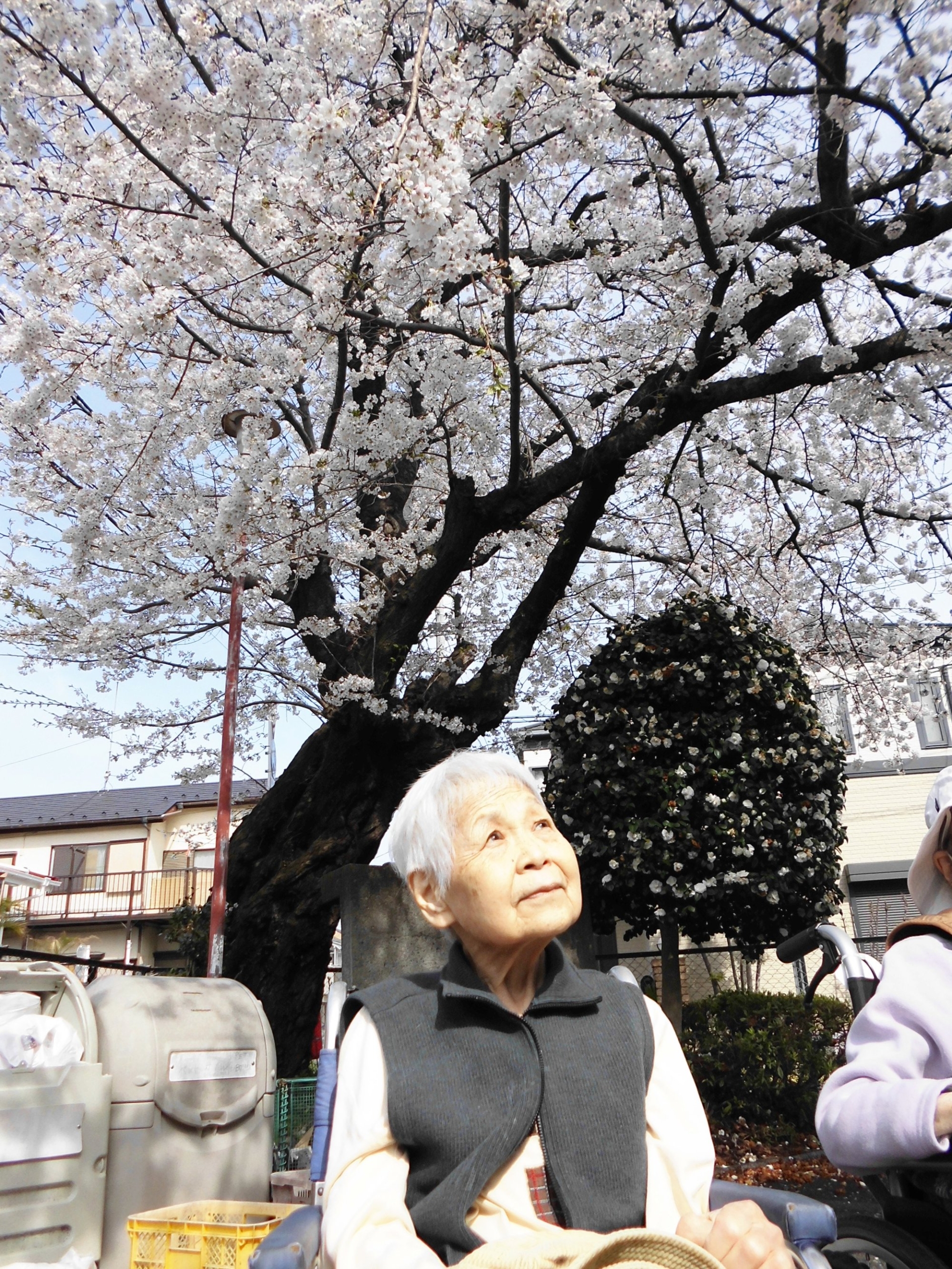 日々のご様子-2　ニチイホーム立川柴崎