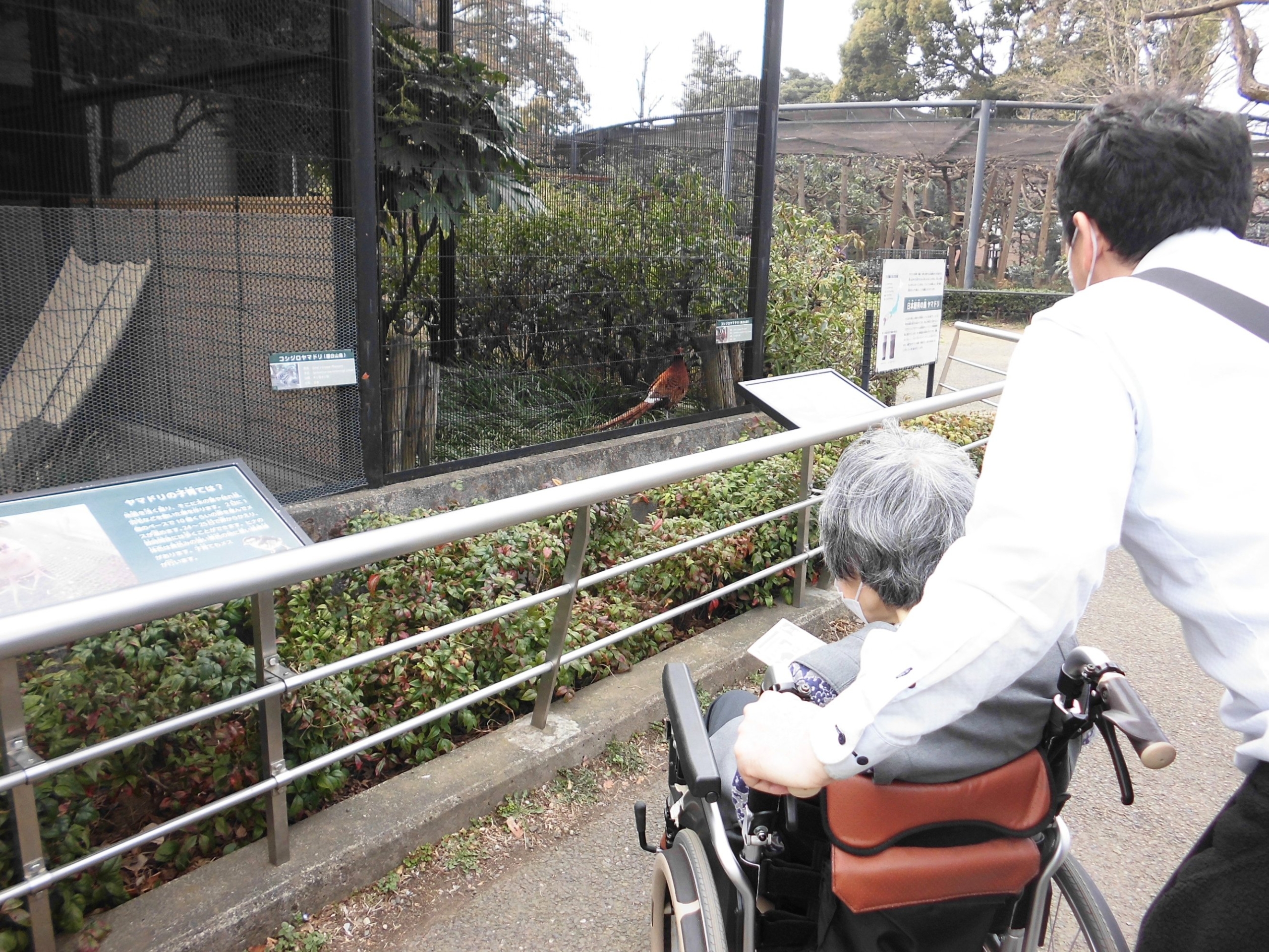 日々のご様子-5　ニチイホーム立川柴崎