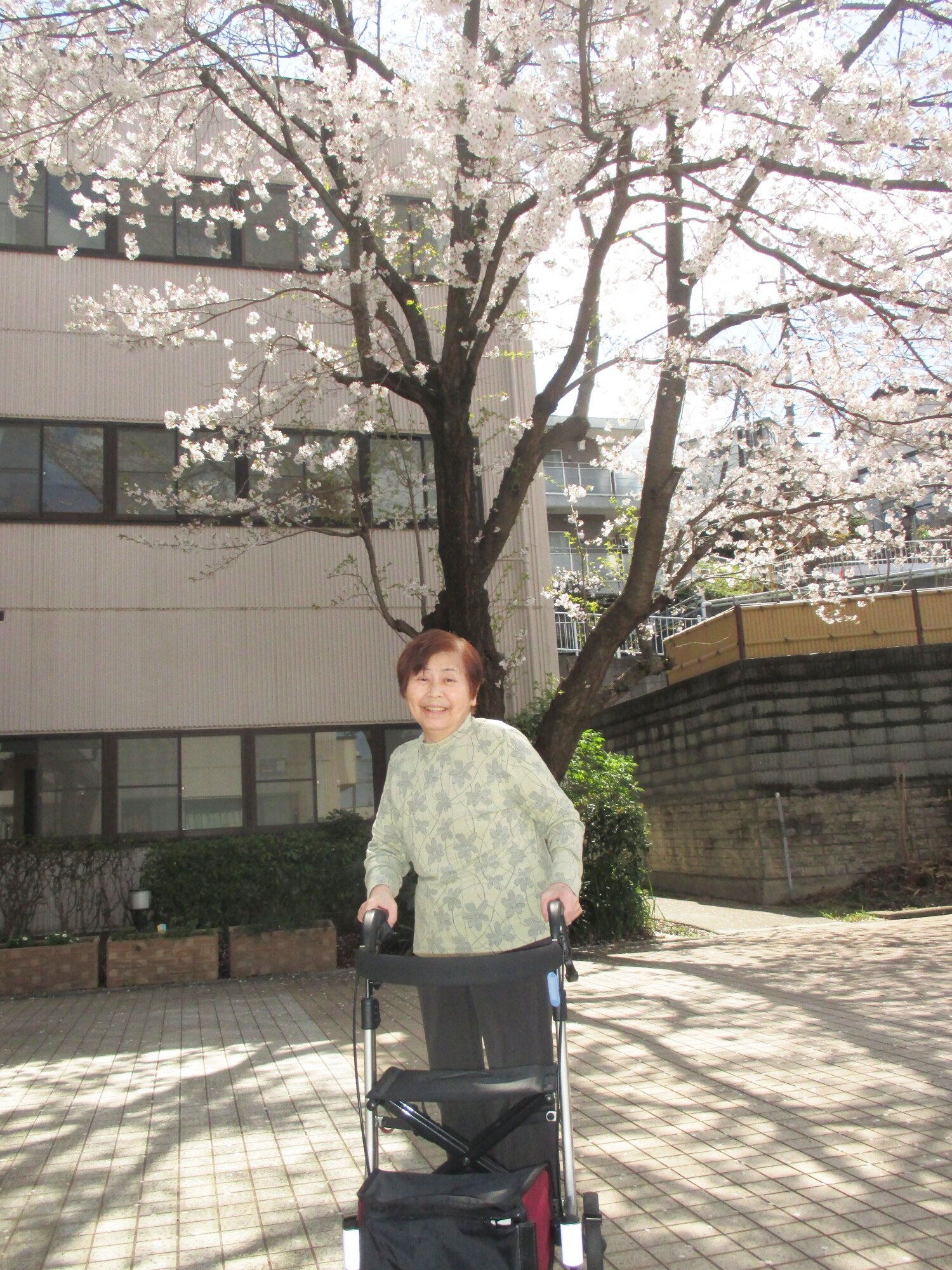 お花見日和-1　ニチイホーム高幡不動