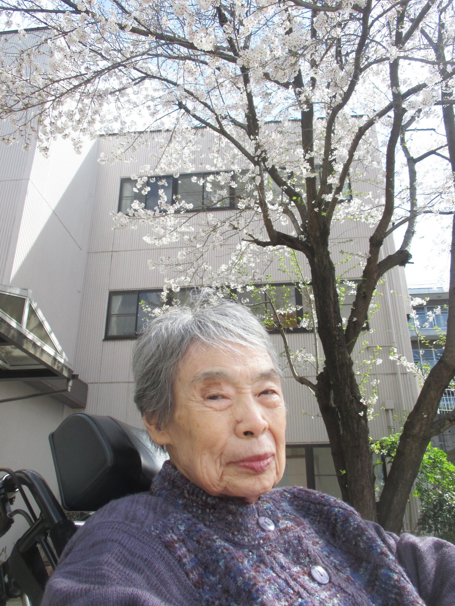 お花見日和-3　ニチイホーム高幡不動