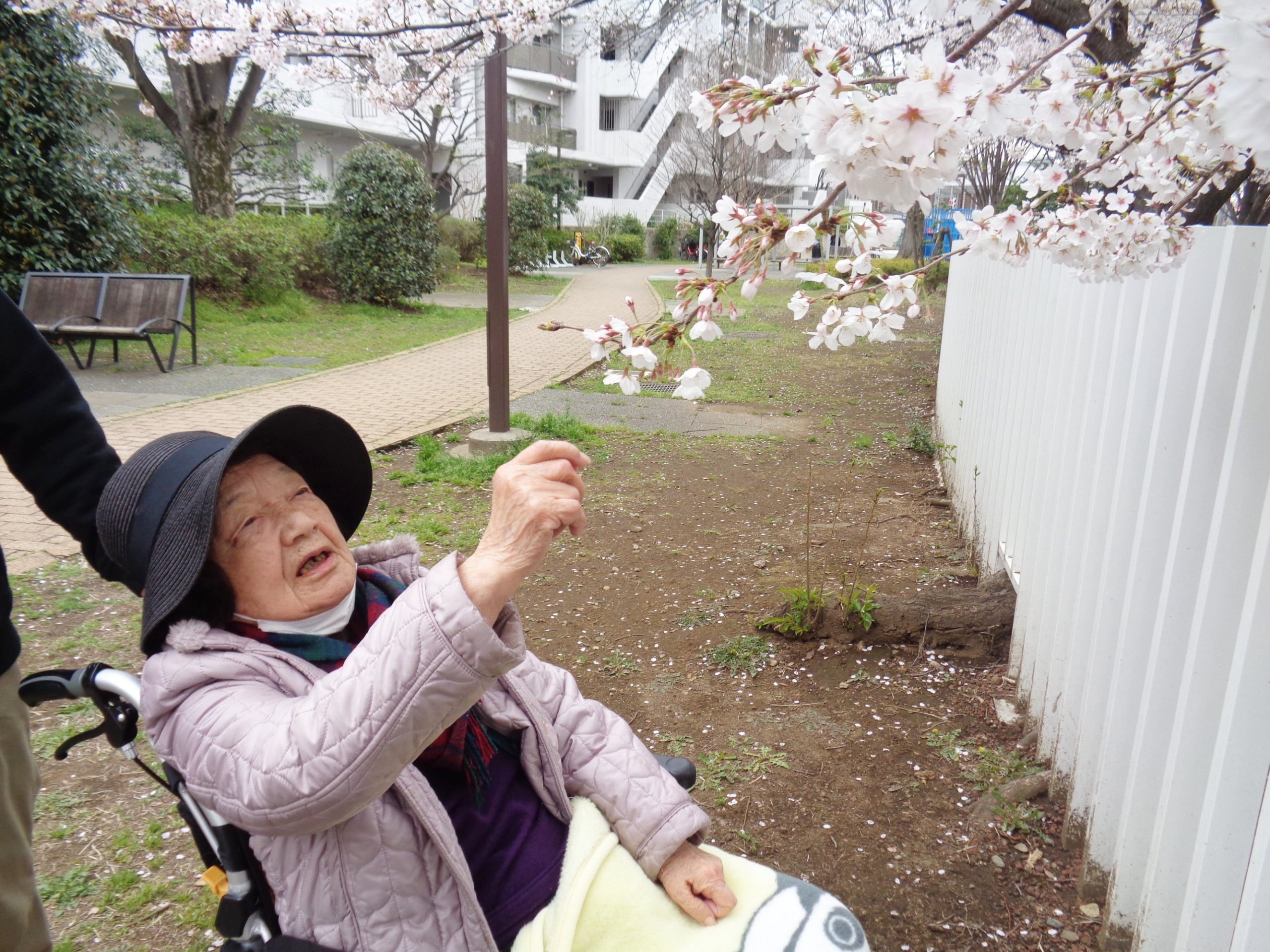 お花見①-5　ニチイホーム都立家政
