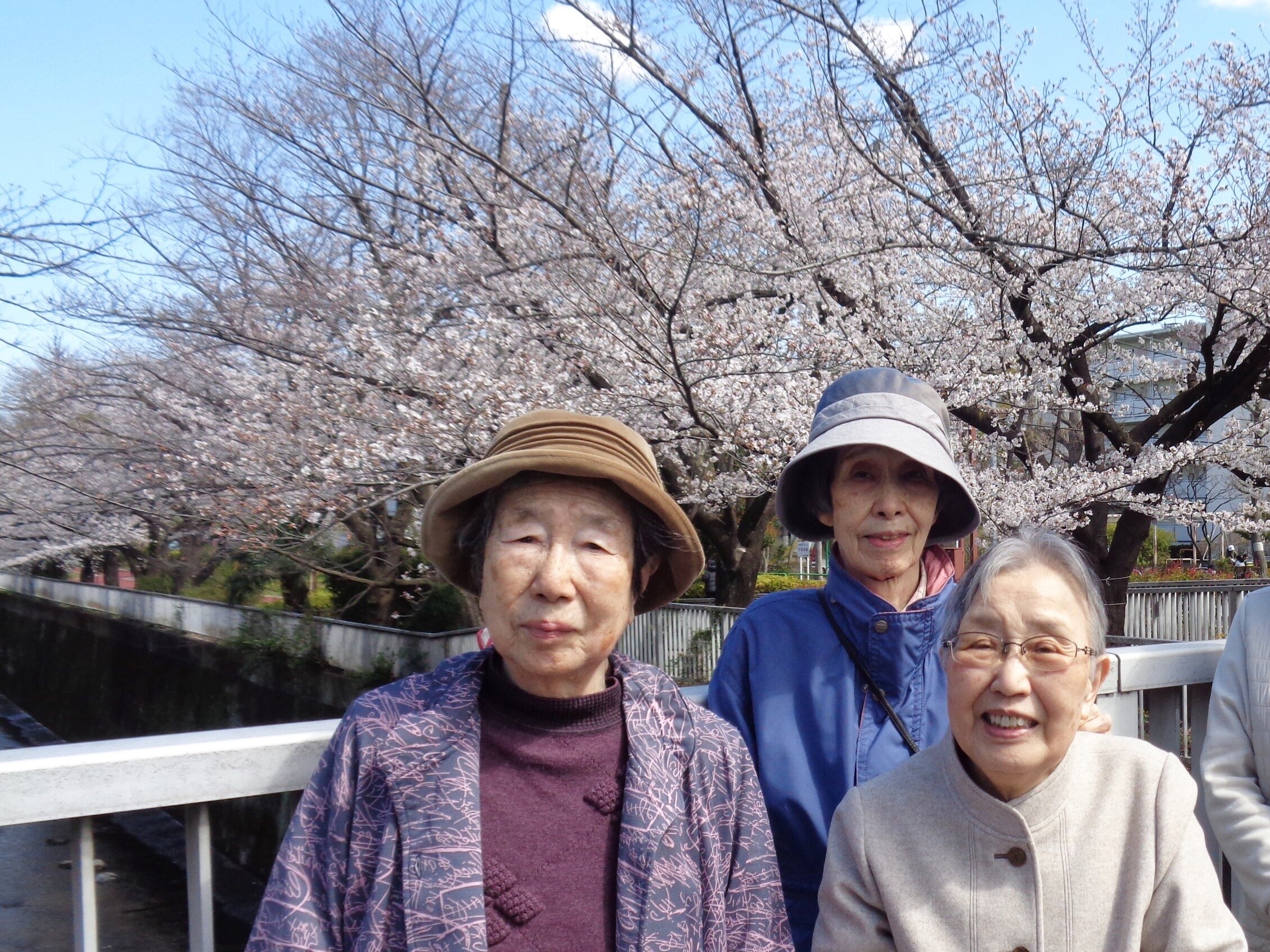 お花見②-3　ニチイホーム都立家政