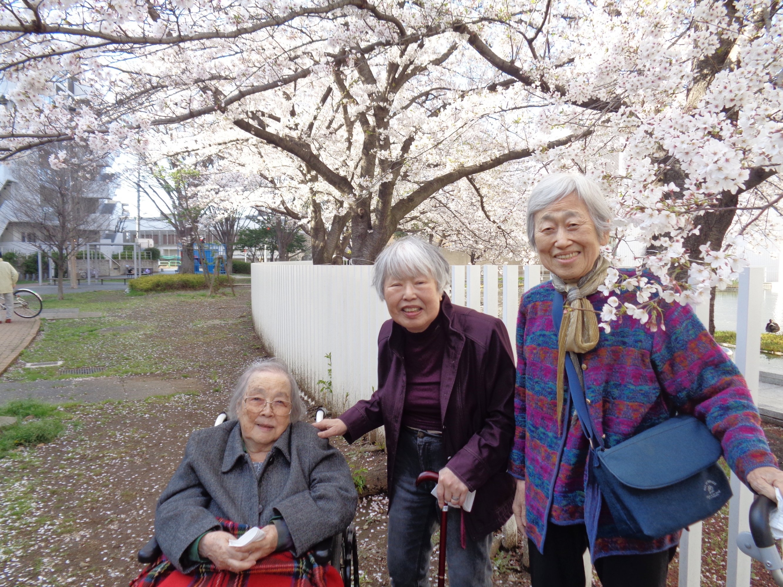 お花見②-6　ニチイホーム都立家政