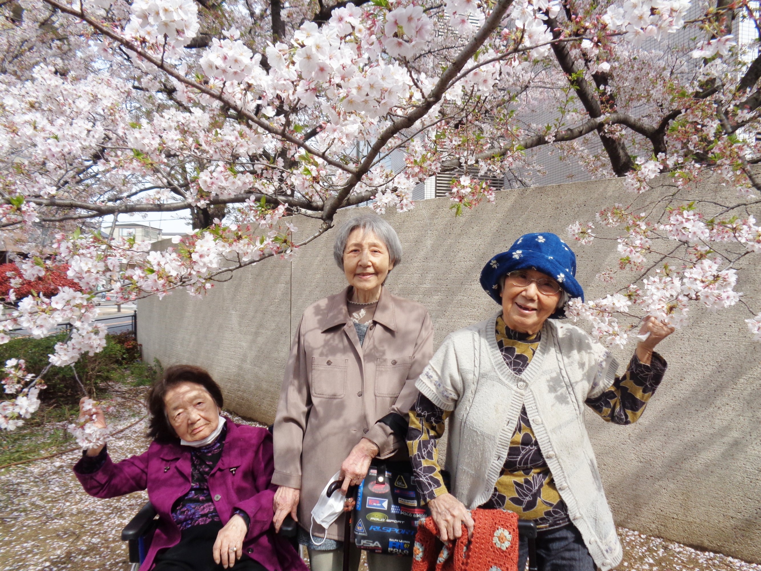 お花見②-4　ニチイホーム都立家政