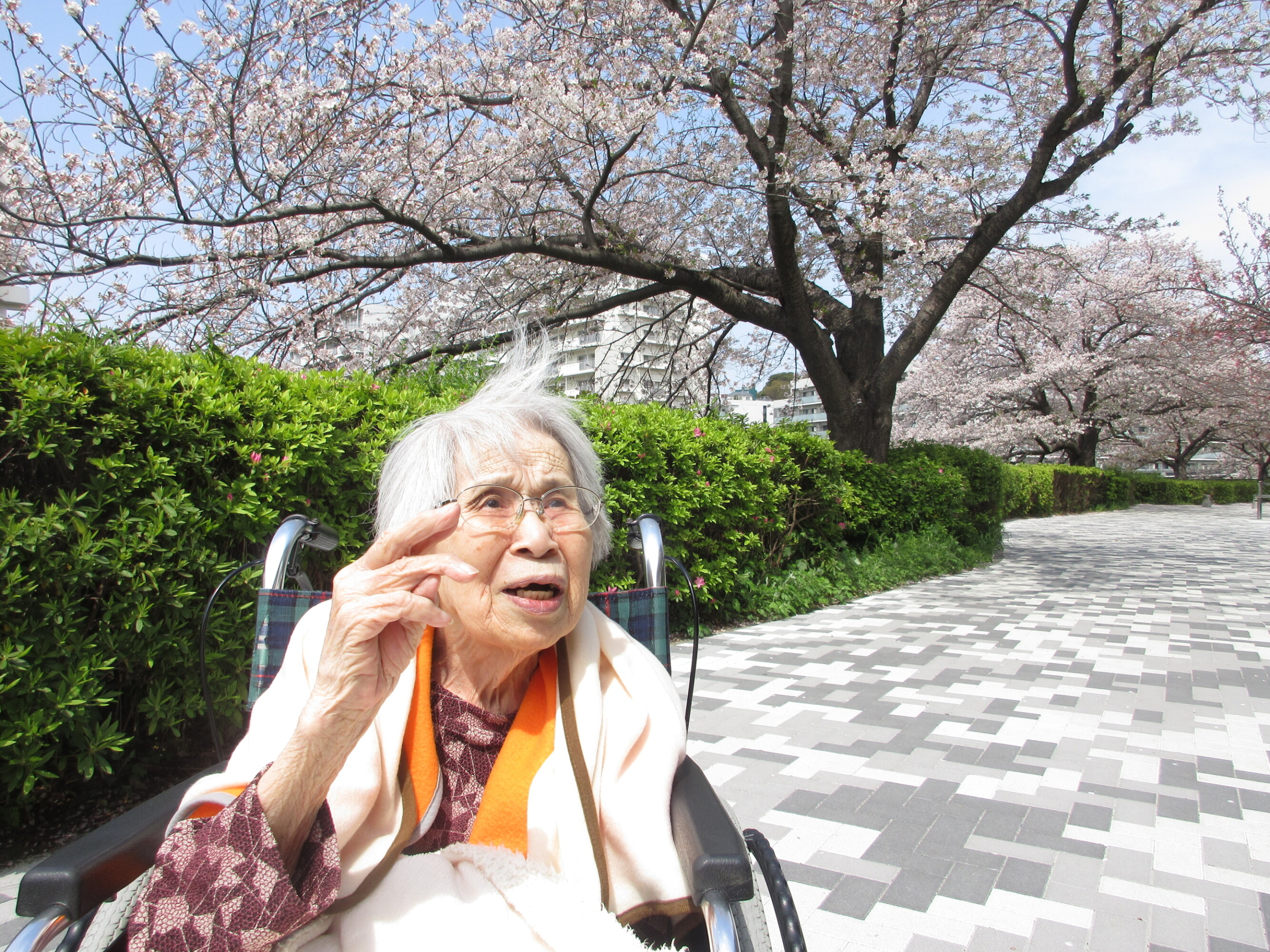 お花見-3　ニチイホーム戸塚