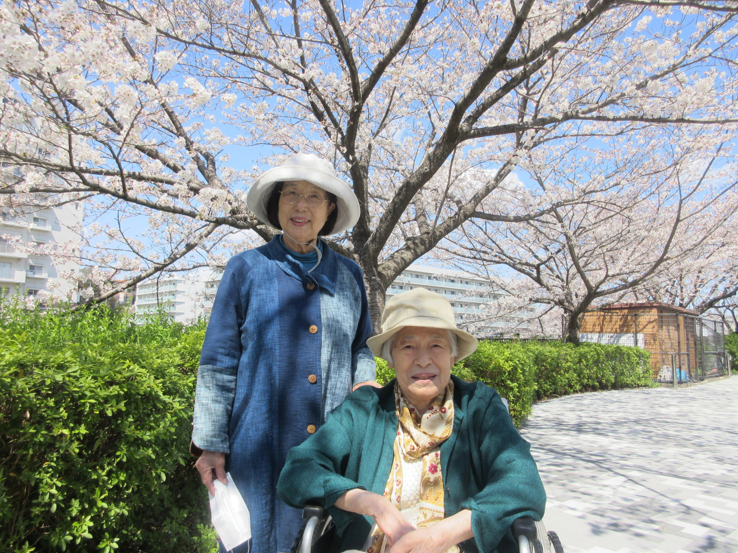 お花見-6　ニチイホーム戸塚