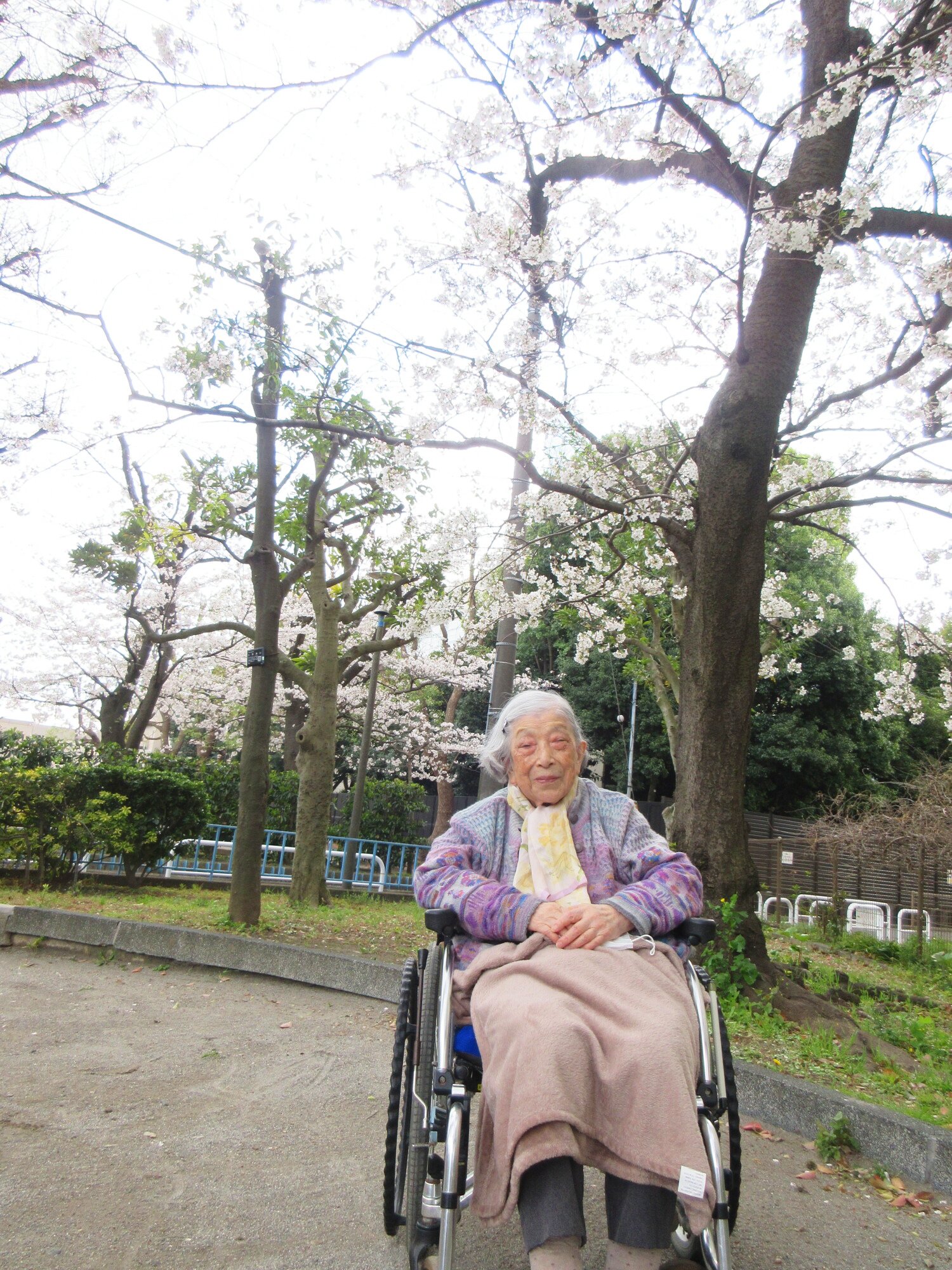 お花見-1　ニチイホーム矢口