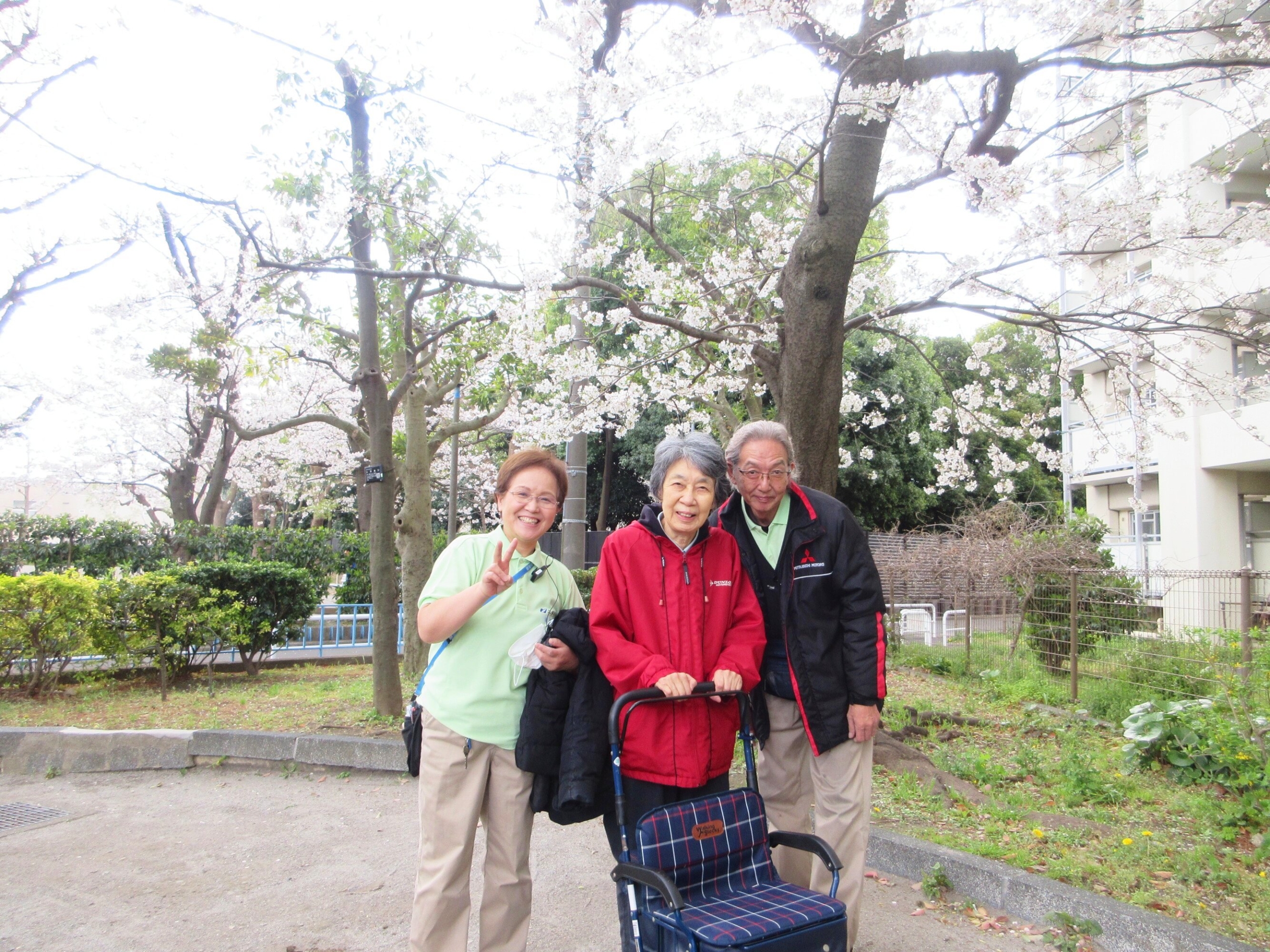 お花見-3　ニチイホーム矢口