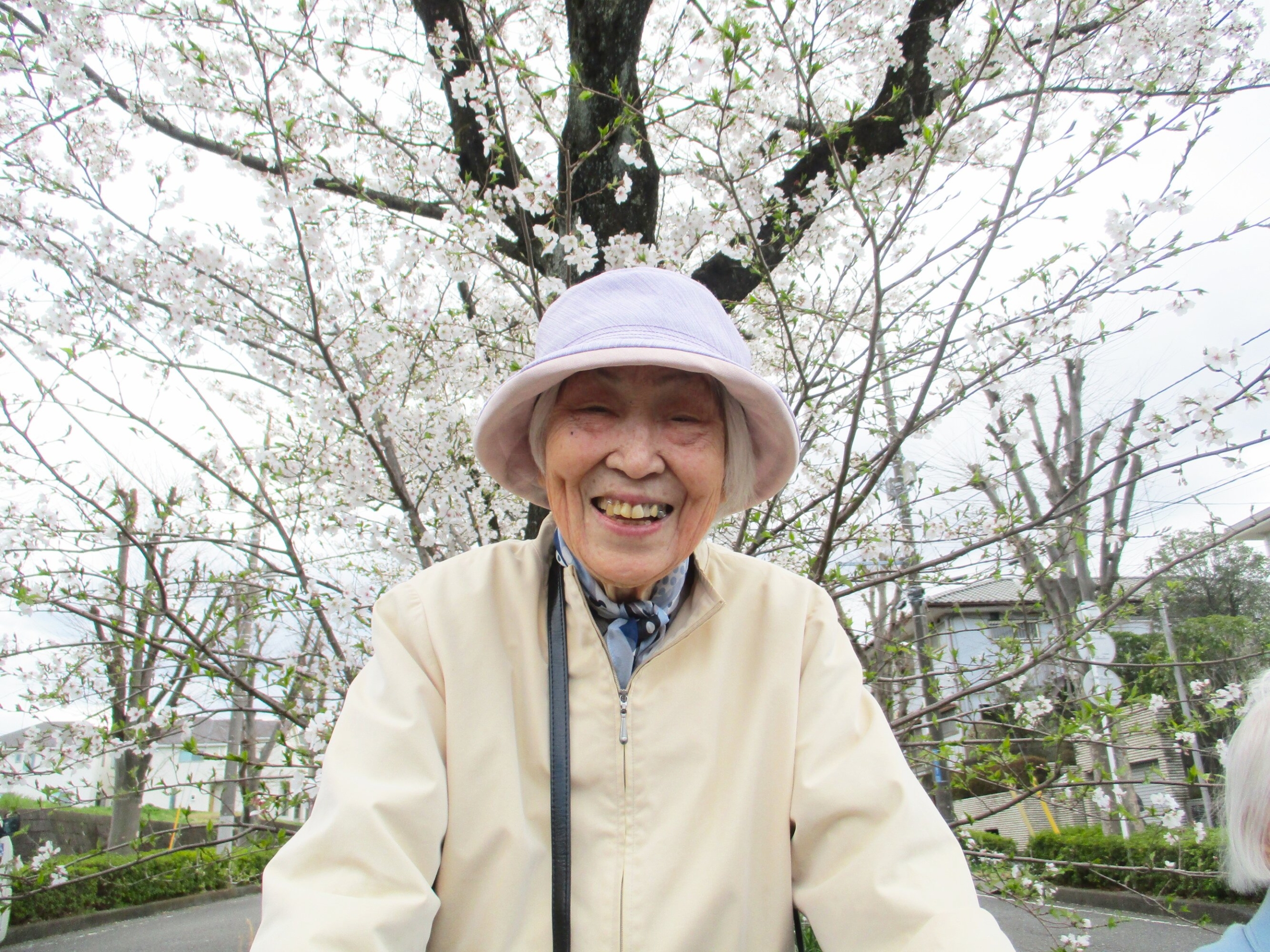 お花見-3　ニチイホーム読売ランド前