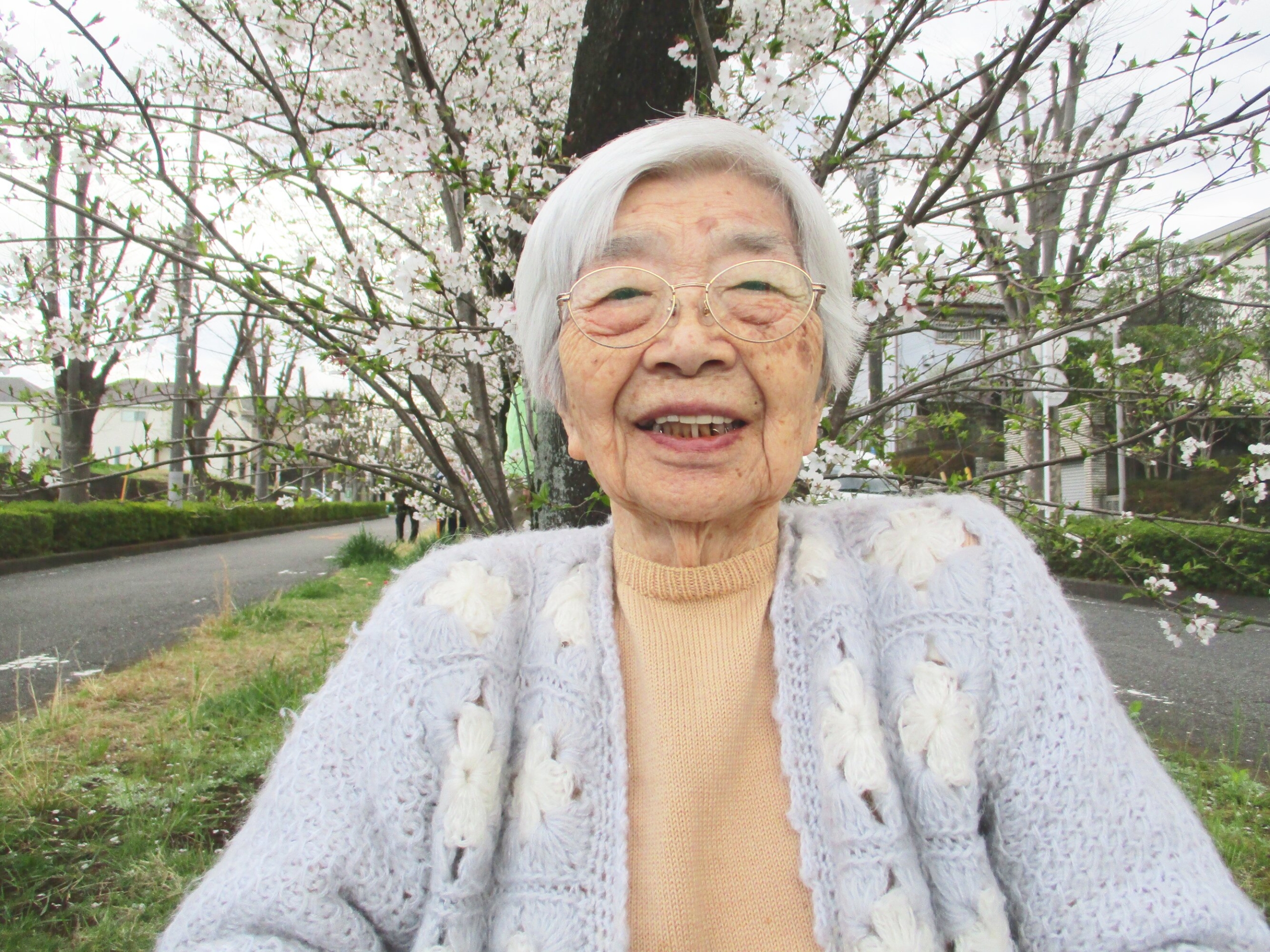 お花見-5　ニチイホーム読売ランド前