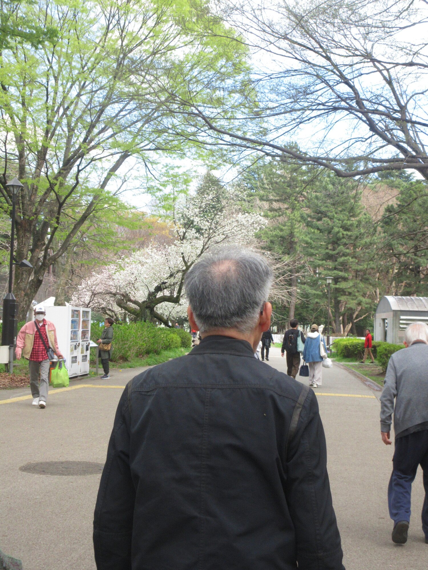 お花見-3　ニチイホーム用賀