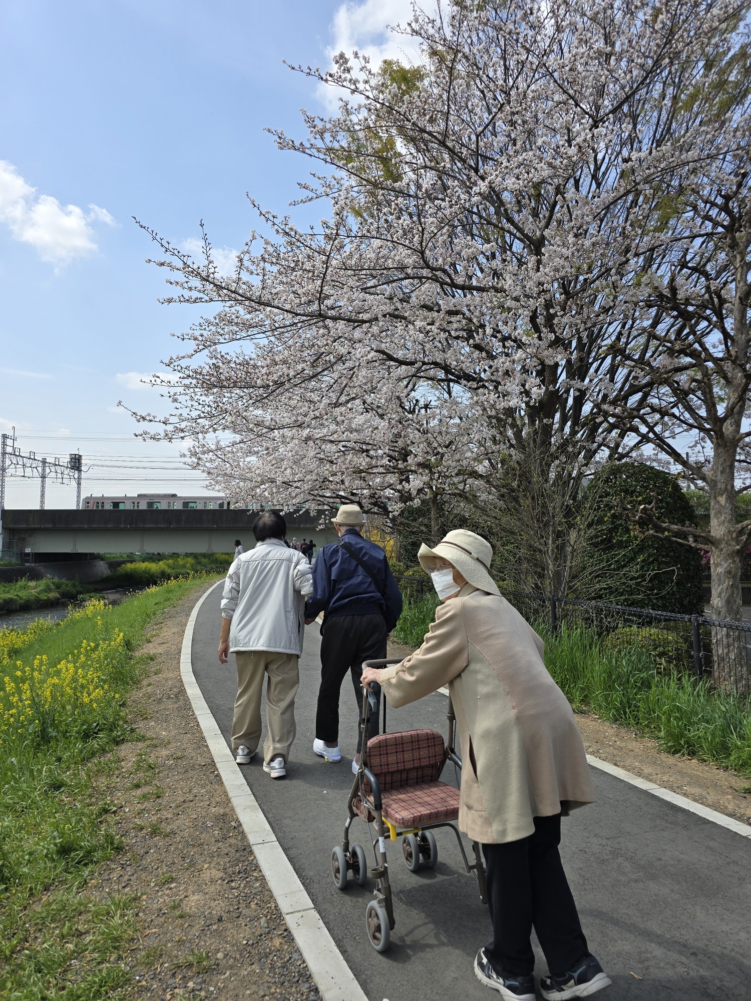 花見に行きました-3　ニチイホーム朝霞