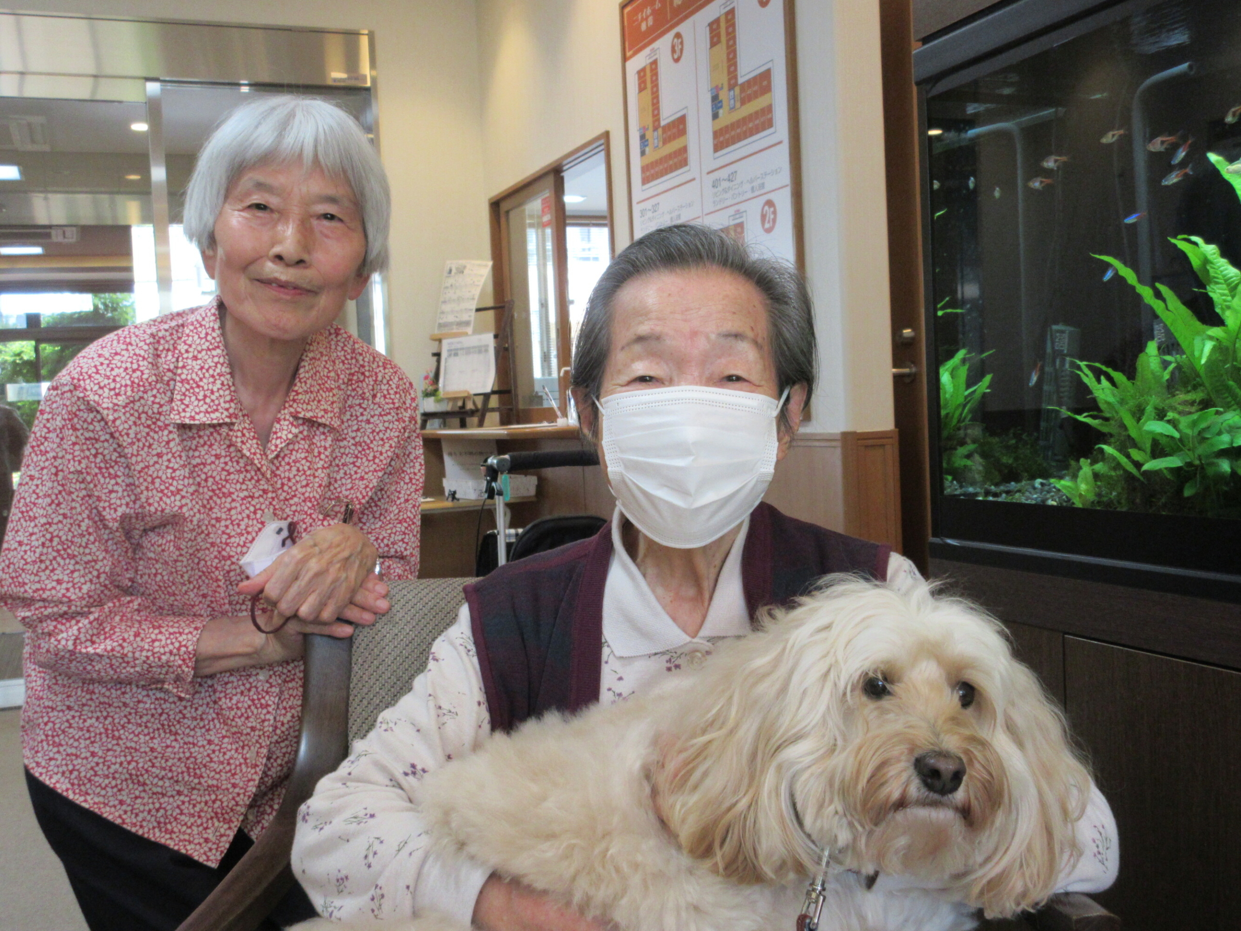 セラピー犬がやってきました-1　ニチイホーム朝霞