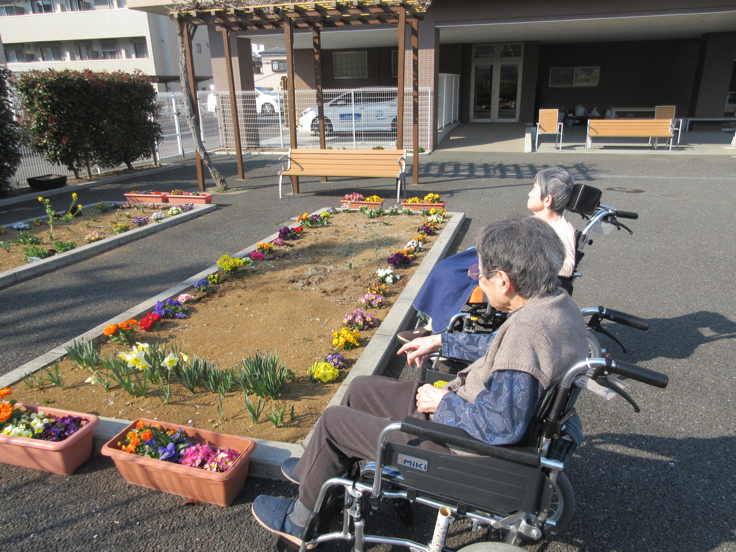 園庭で季節の花づくり-6　ニチイホーム朝霞
