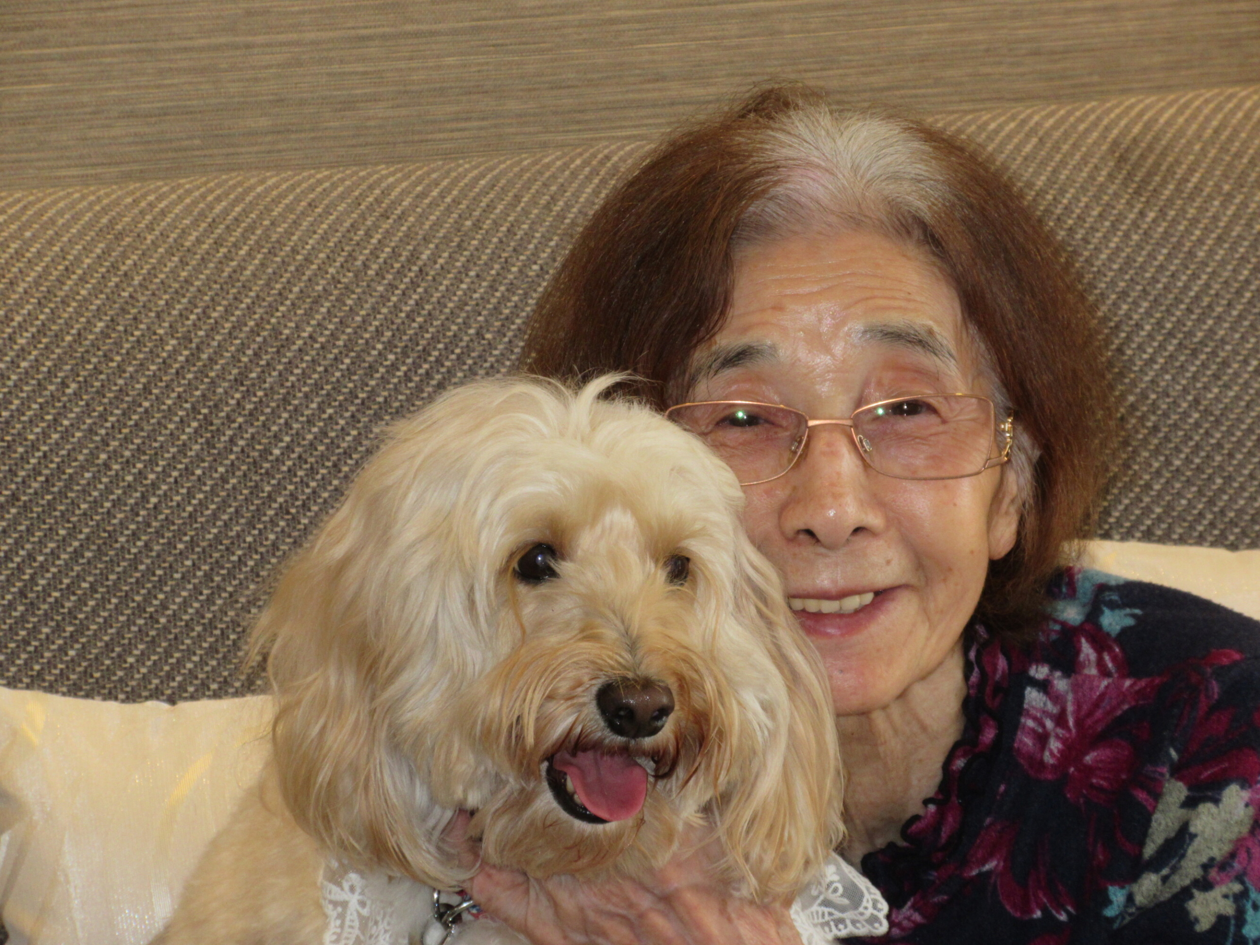 セラピー犬がやってきました-3　ニチイホーム朝霞