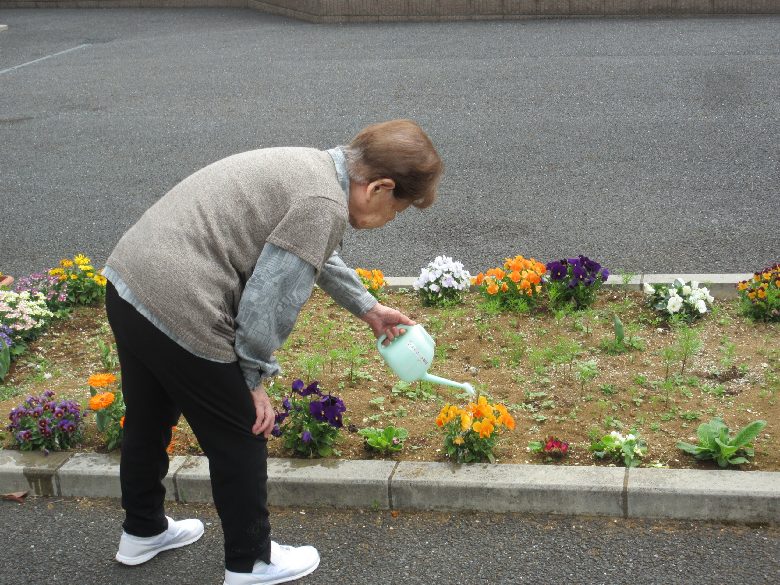 園庭で季節の花づくり-4　ニチイホーム朝霞