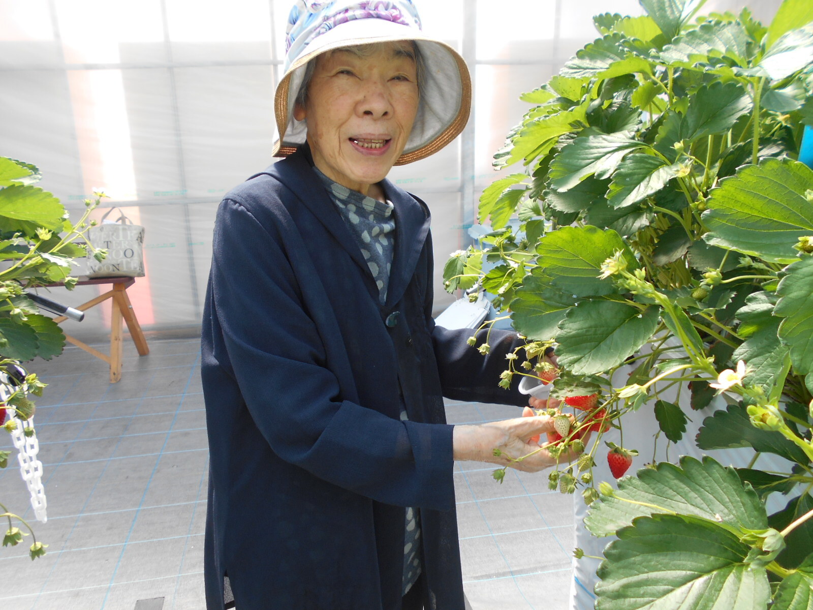 いちご狩りに行ってきました！-2　ニチイホーム海老名