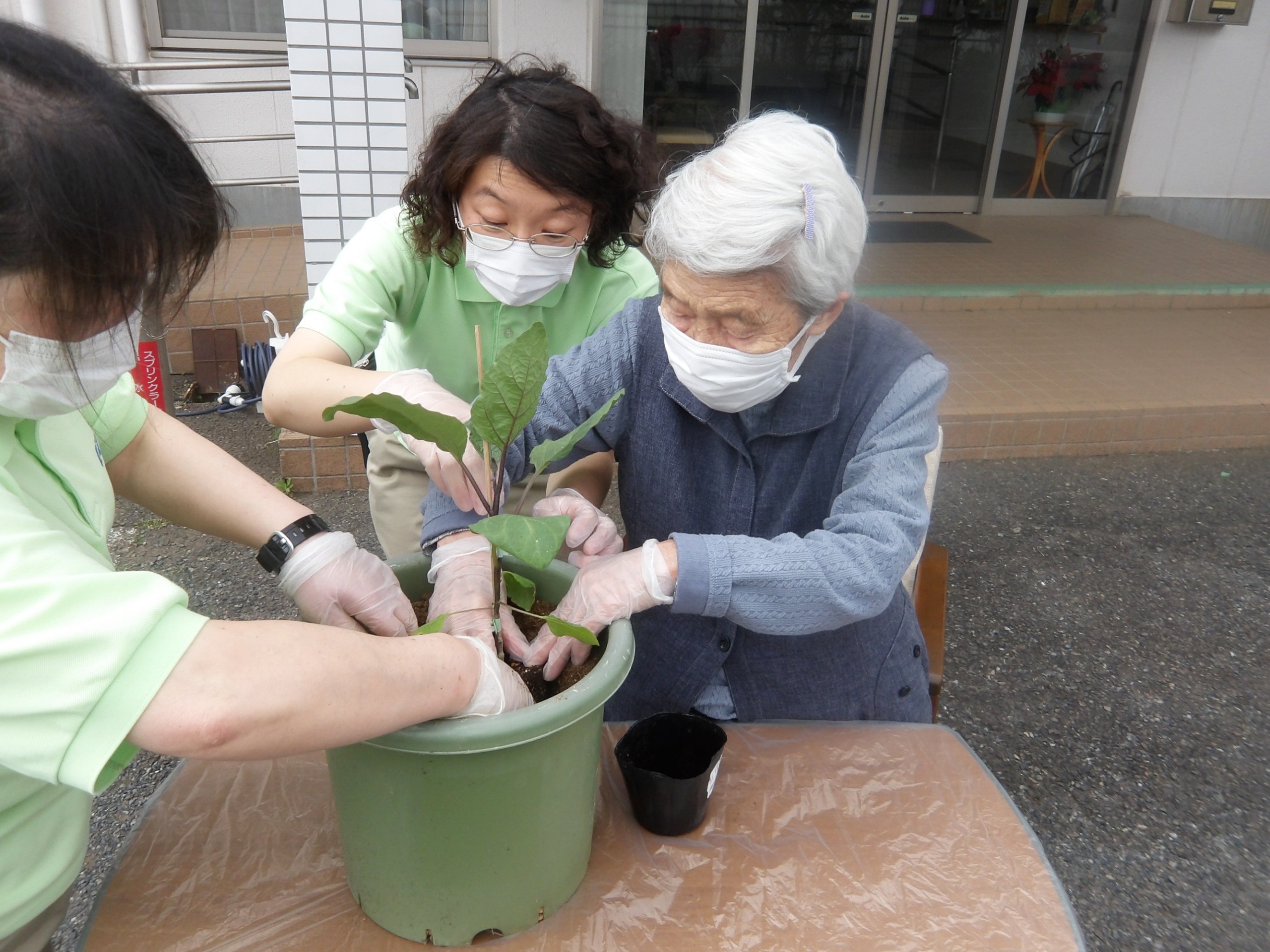 野菜の植え付け-1　ニチイホーム東府中