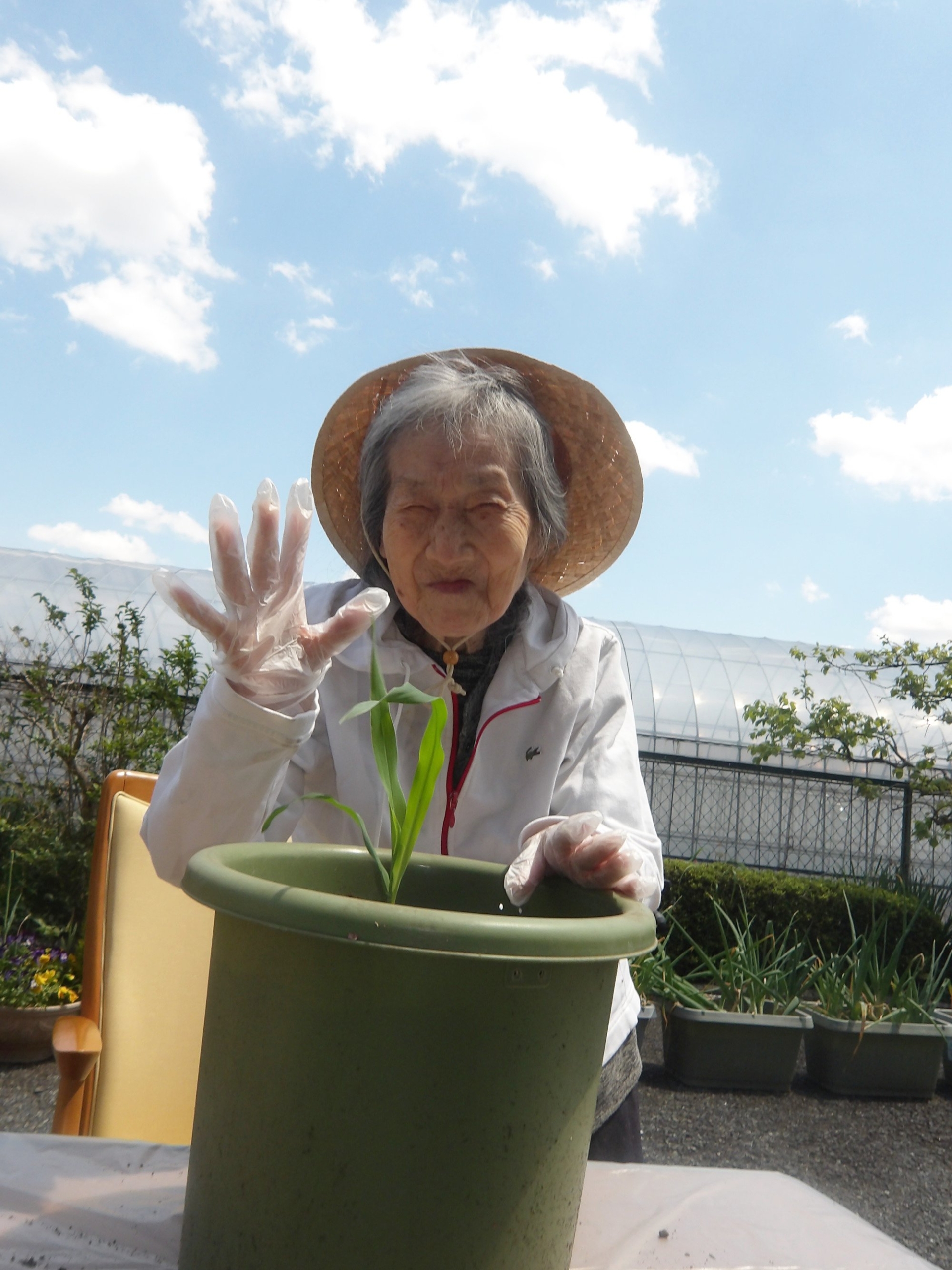 野菜の寄せ植え・畑作り-3　ニチイホーム東府中