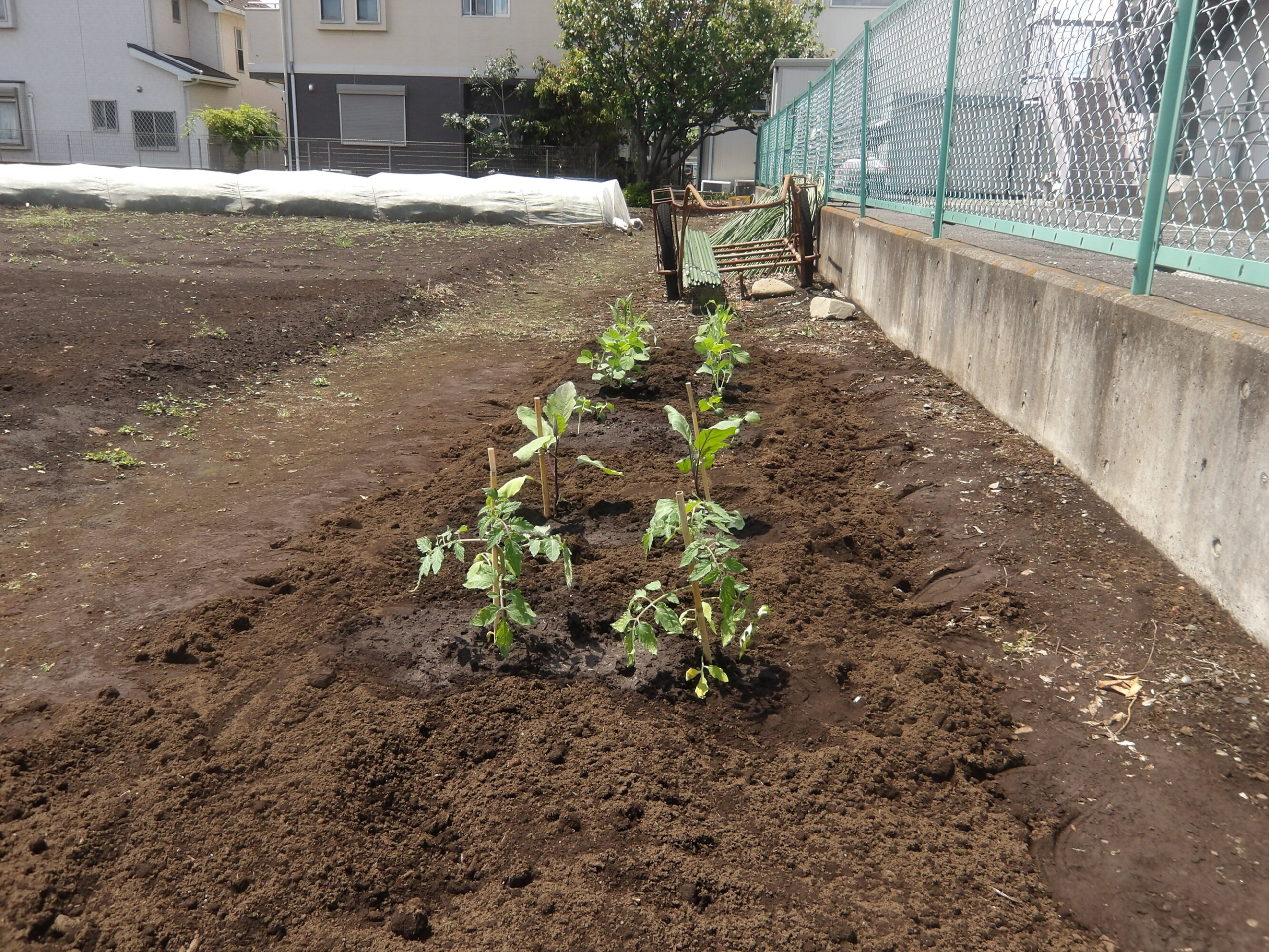野菜の寄せ植え・畑作り-5　ニチイホーム東府中