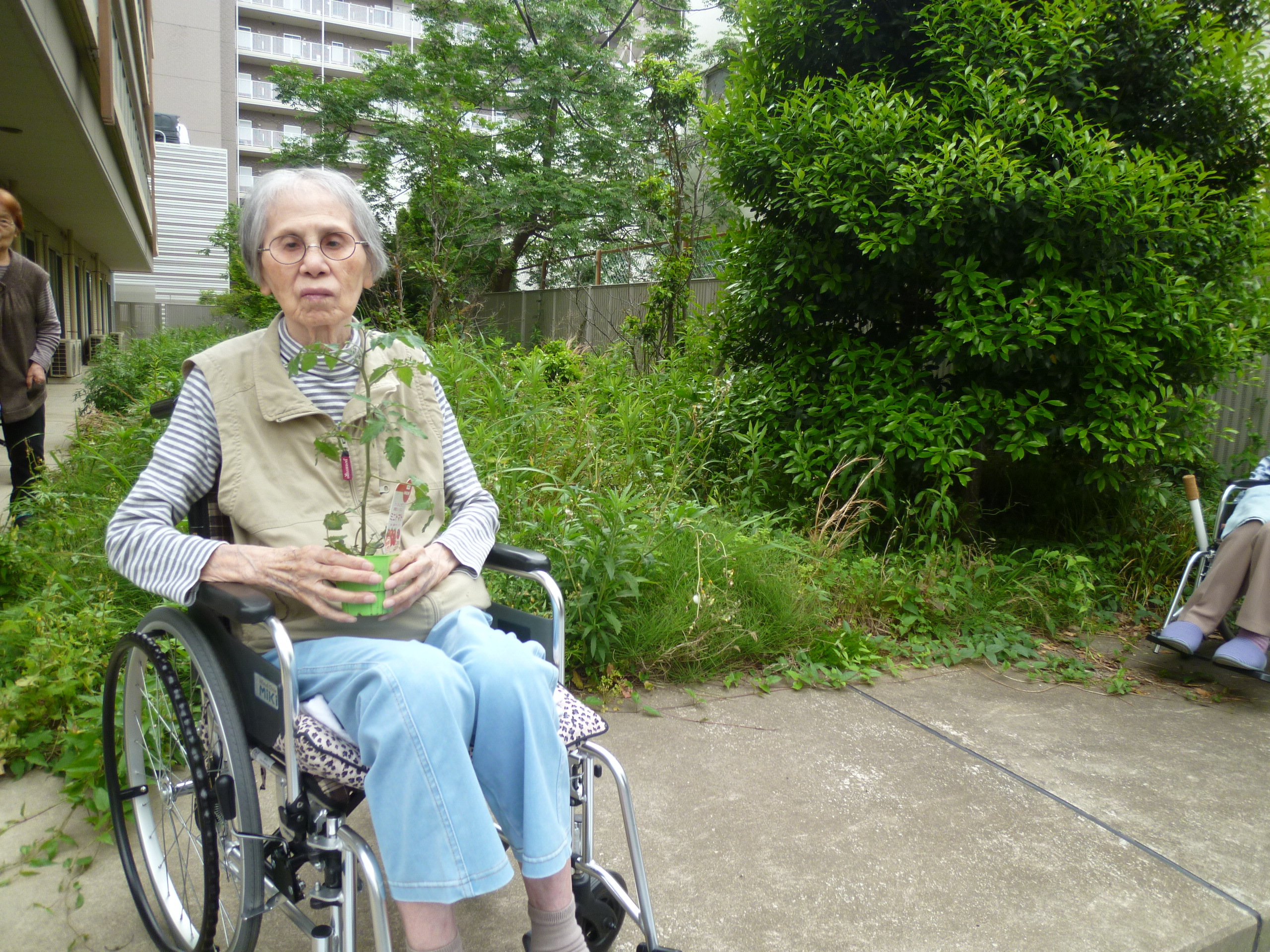 プチトマト苗植え見学-1　ニチイホーム東船橋