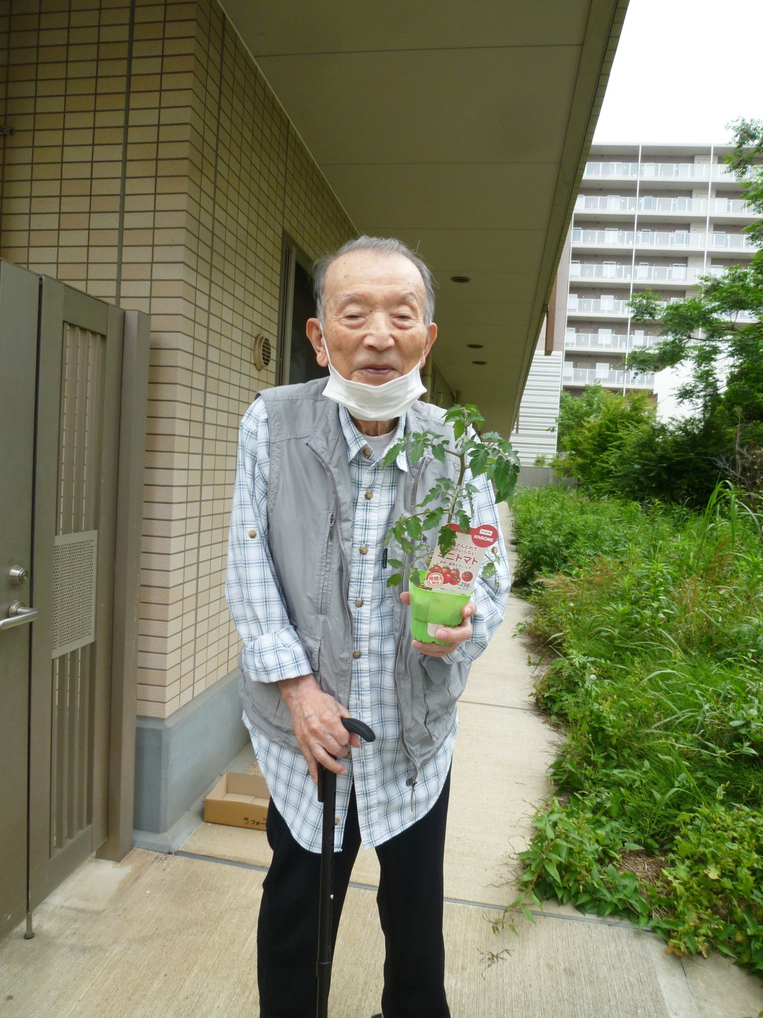 プチトマト苗植え見学-2　ニチイホーム東船橋