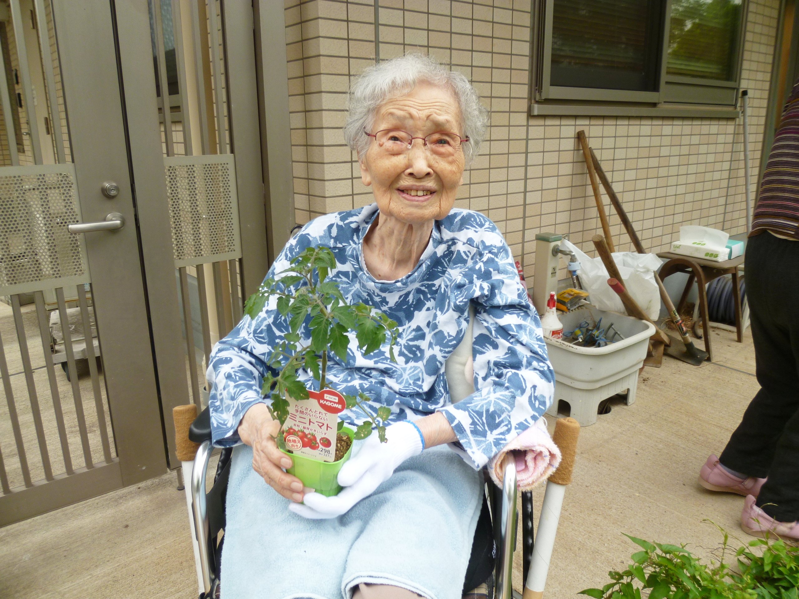 プチトマト苗植え見学-3　ニチイホーム東船橋
