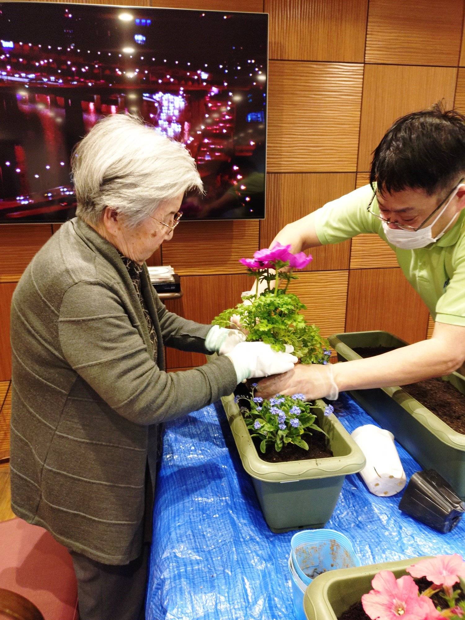 寄せ植え①-3　ニチイホーム碑文谷