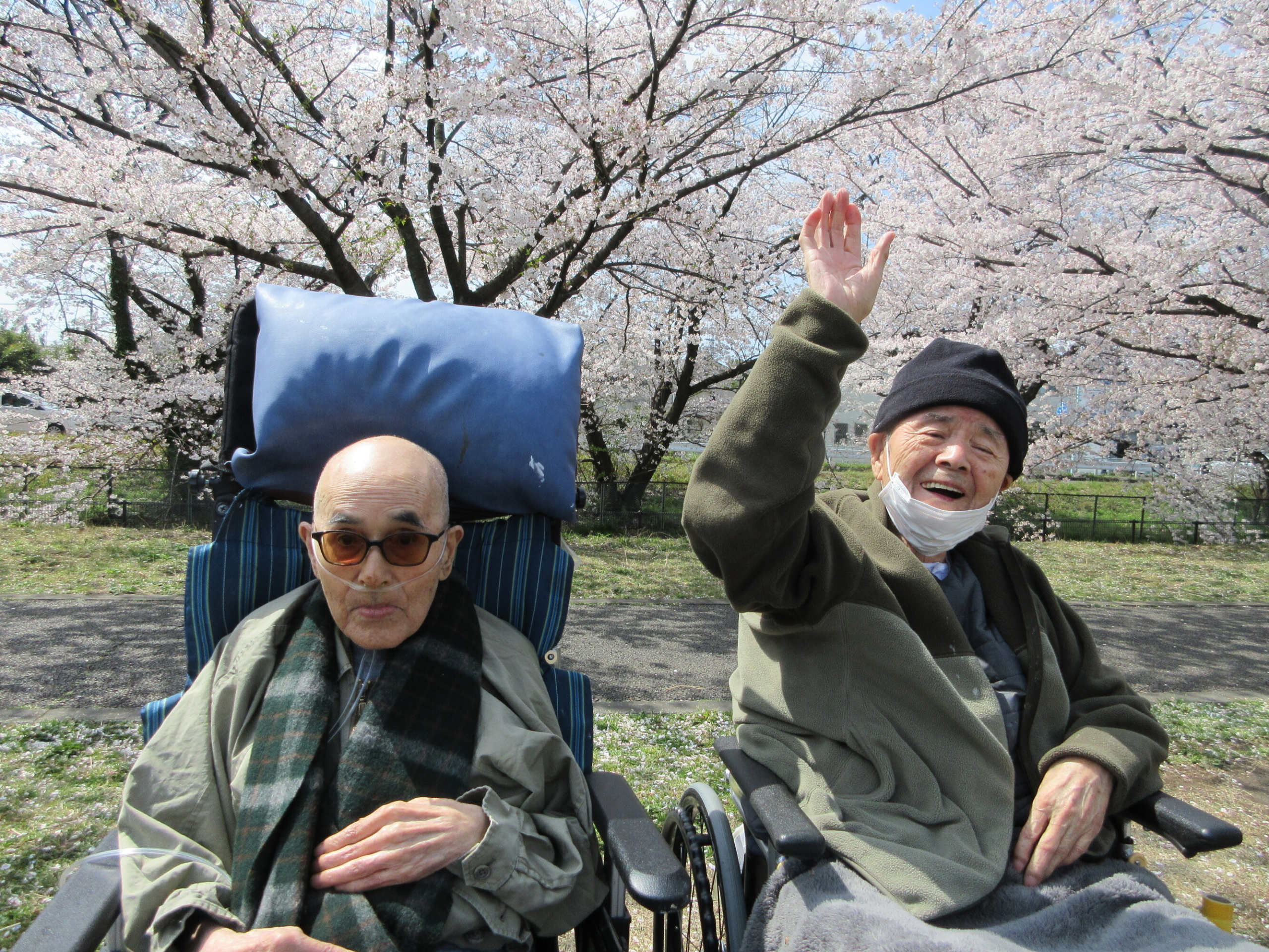 お花見-6　ニチイホーム稲城