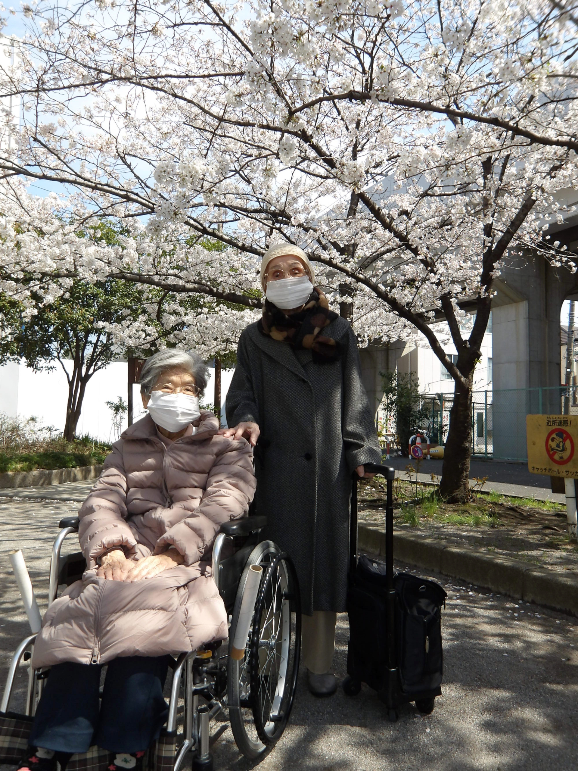 観桜会-2　ニチイホーム南大井
