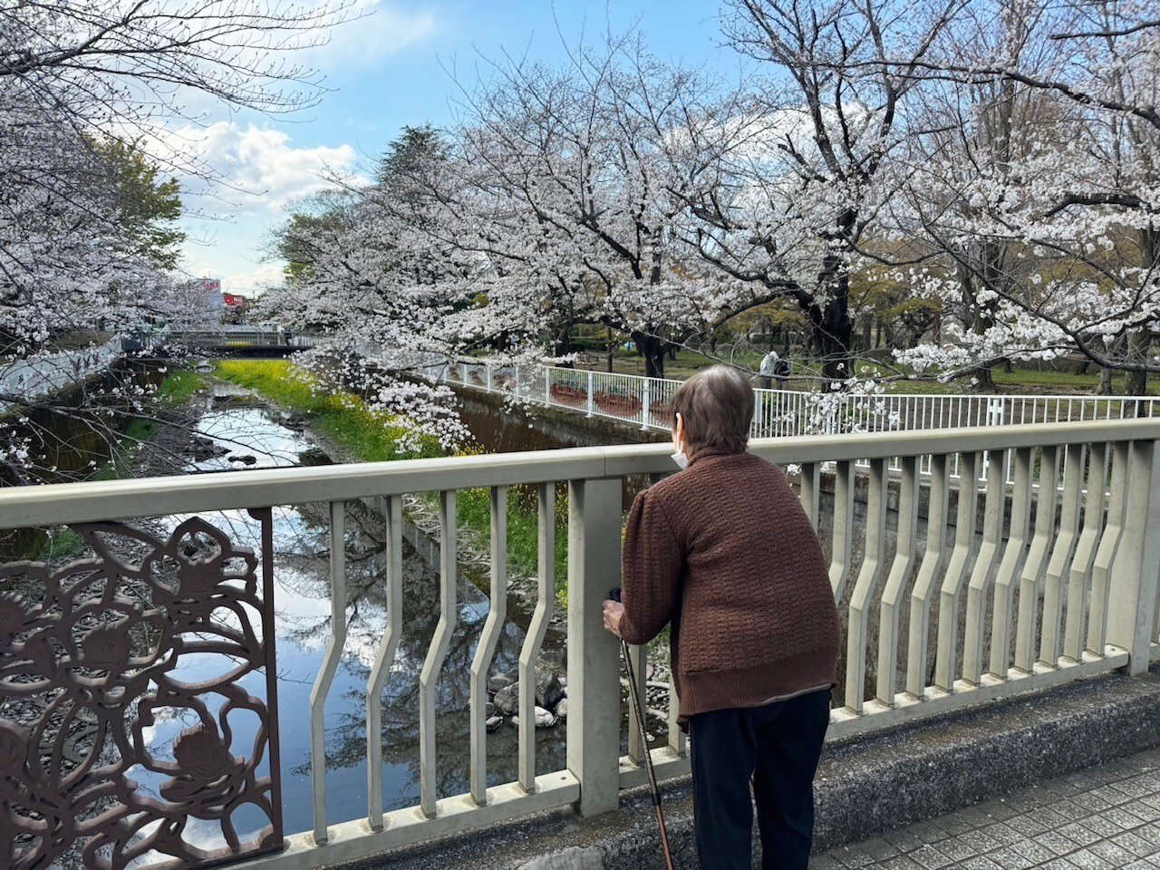 お花見②-3　ニチイホーム三鷹Ⅱ番館