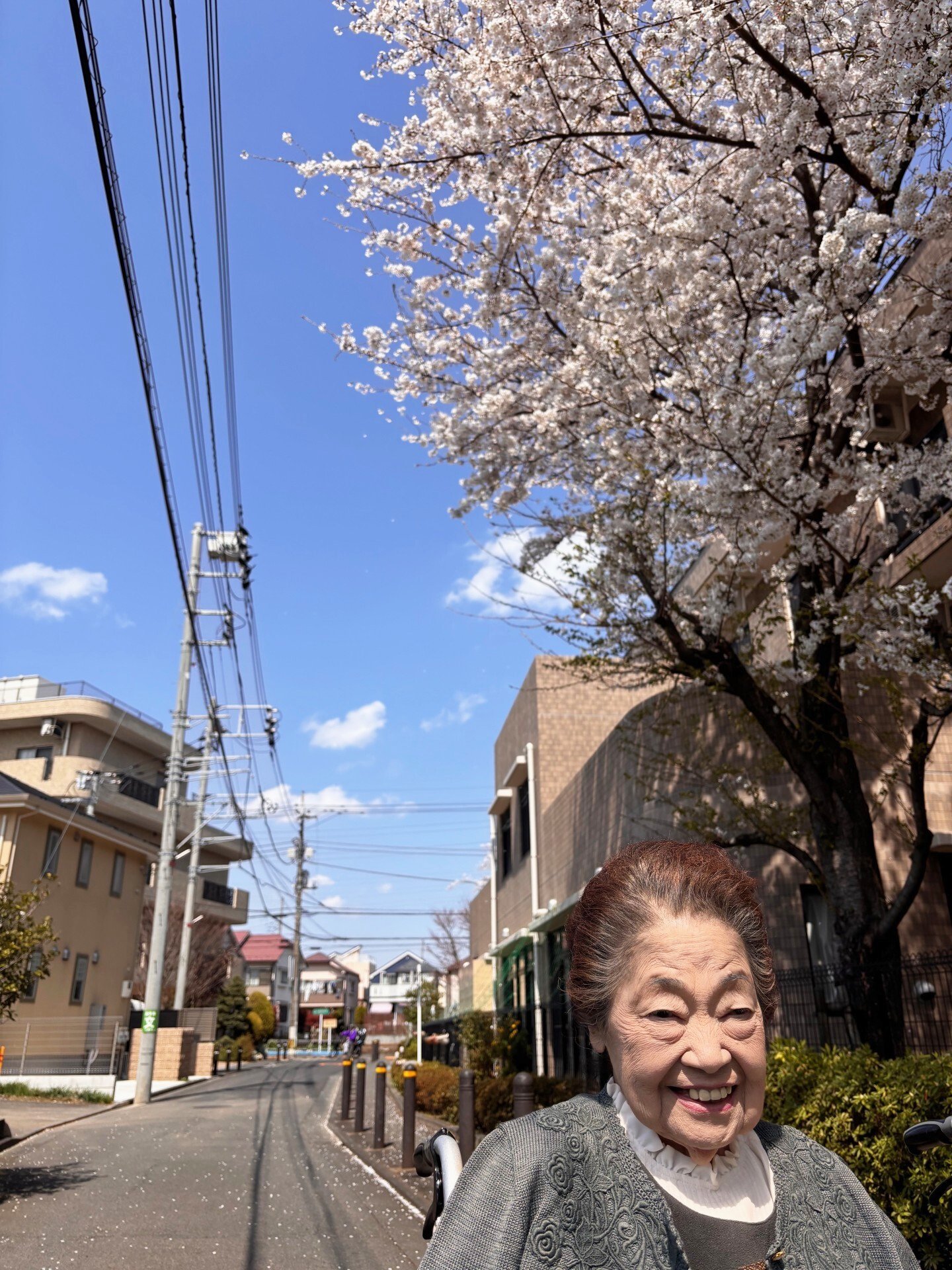 お花見-1　ニチイホーム三鷹Ⅱ番館