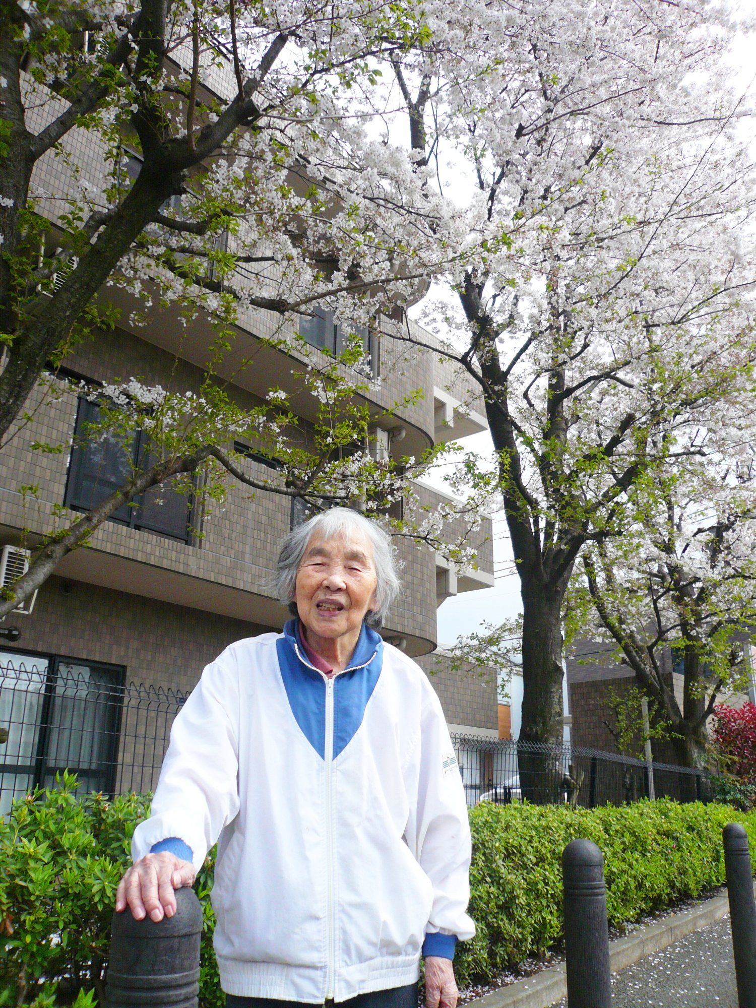 お花見-3　ニチイホーム三鷹Ⅱ番館