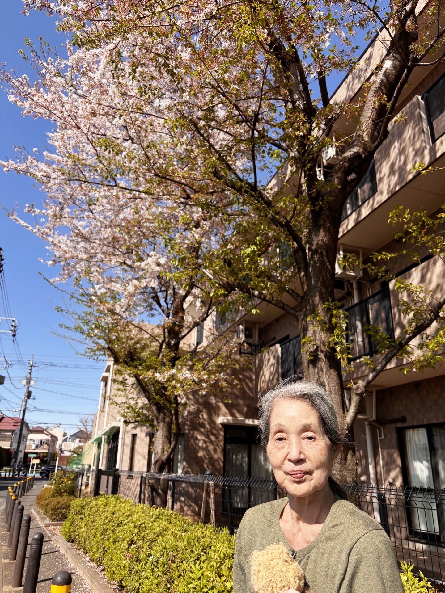 お花見-4　ニチイホーム三鷹Ⅱ番館