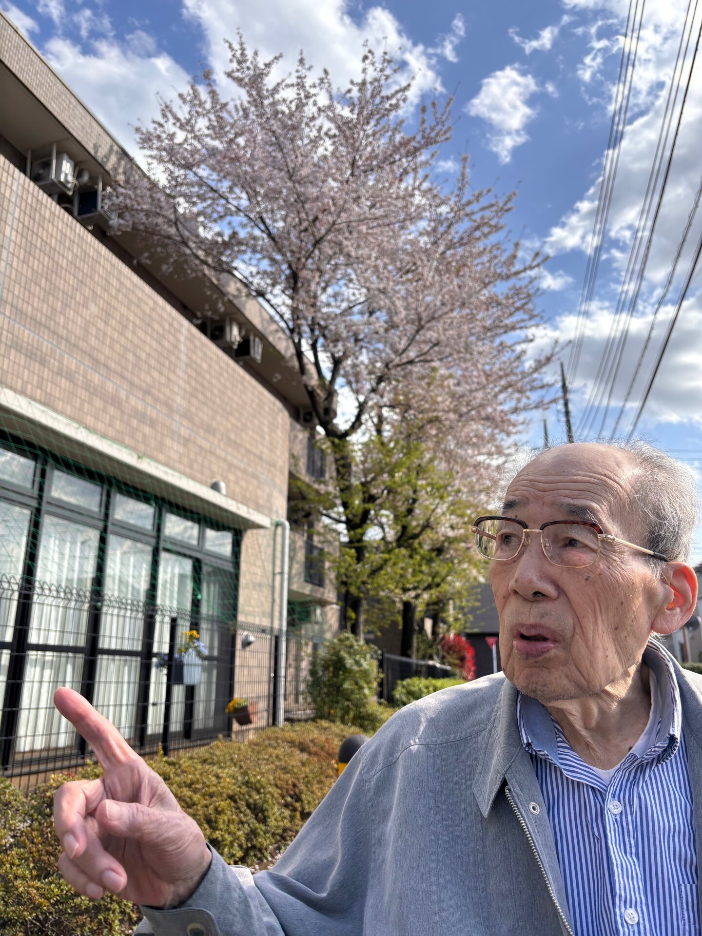 お花見-5　ニチイホーム三鷹Ⅱ番館