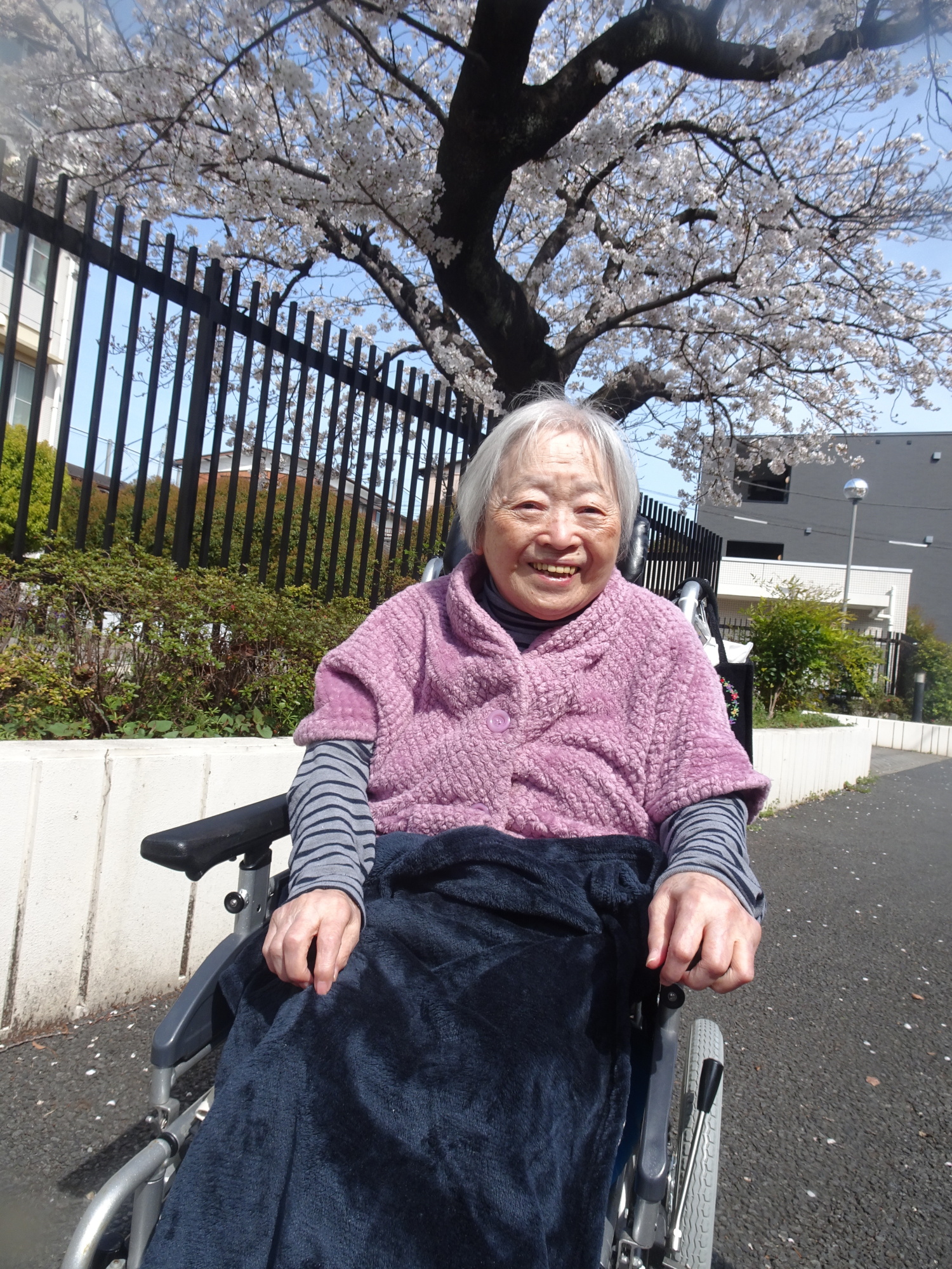 お花見-1　ニチイホーム中馬込
