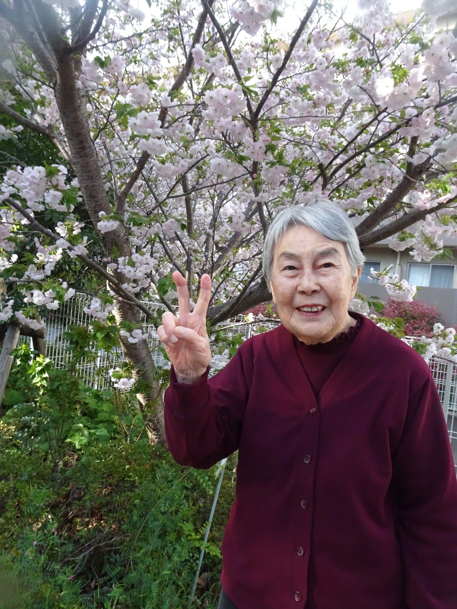 お花見-6　ニチイホーム中馬込