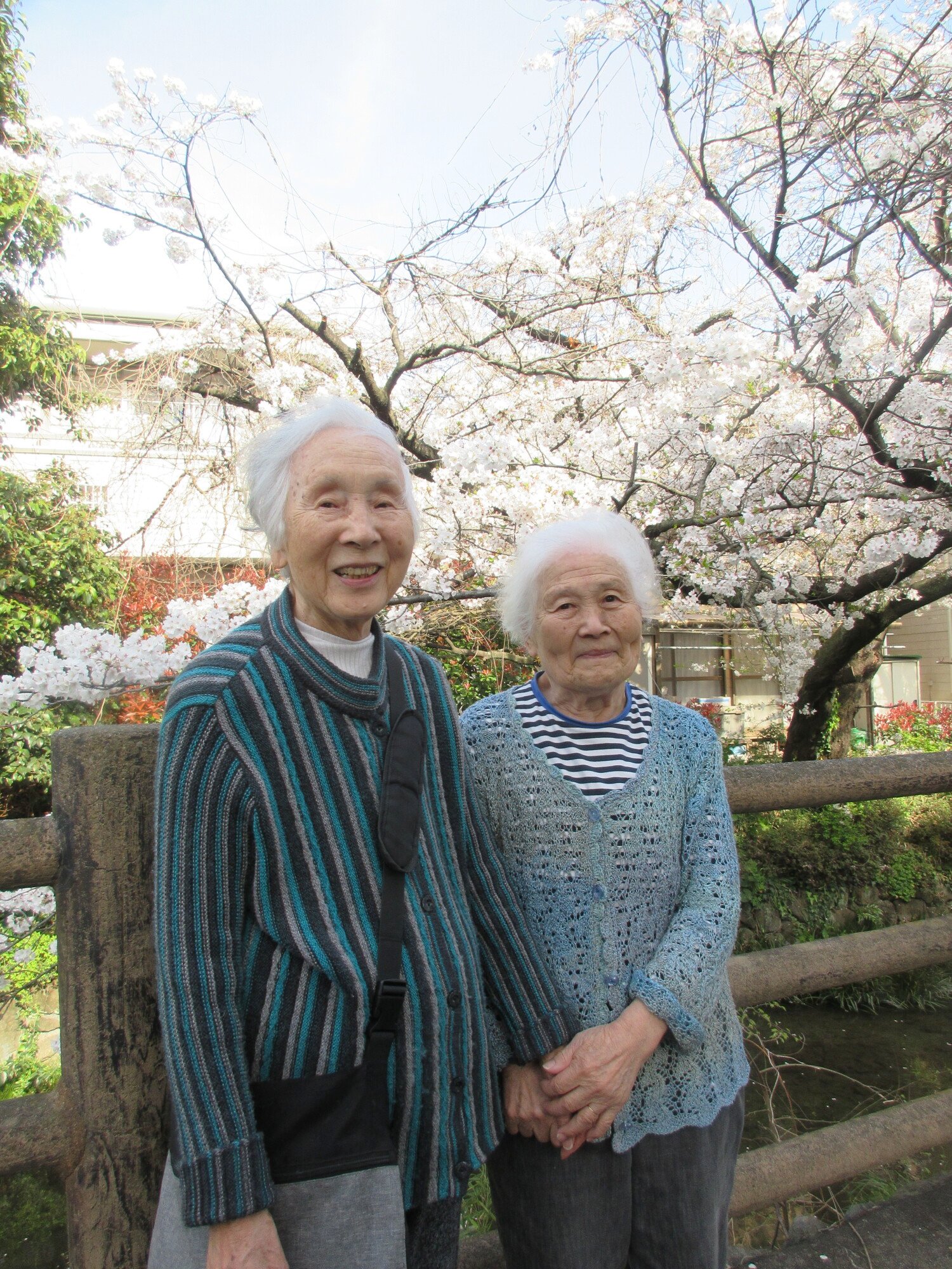 お花見散歩-2　ニチイホーム登戸