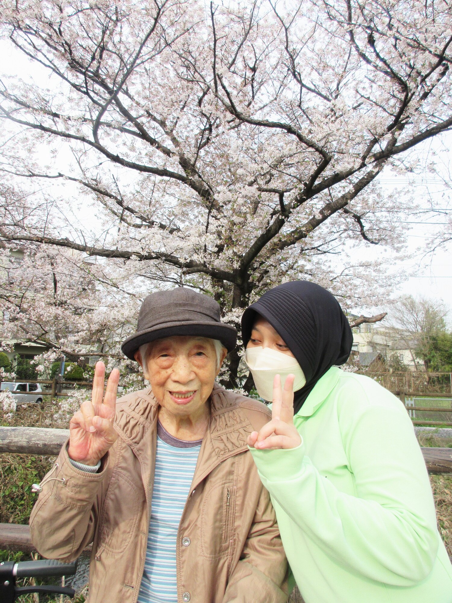 お花見散歩-4　ニチイホーム登戸