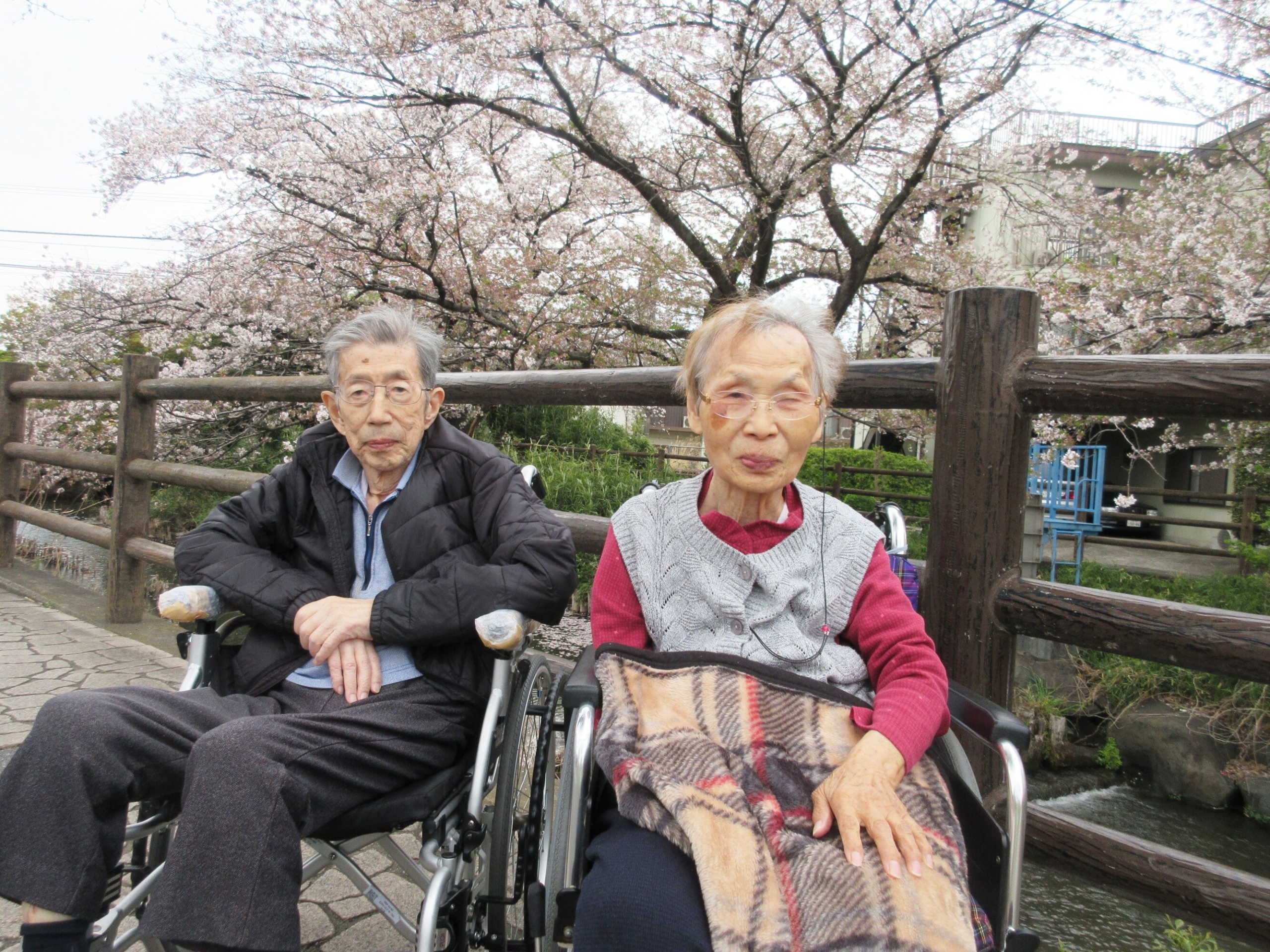 お花見散歩-5　ニチイホーム登戸
