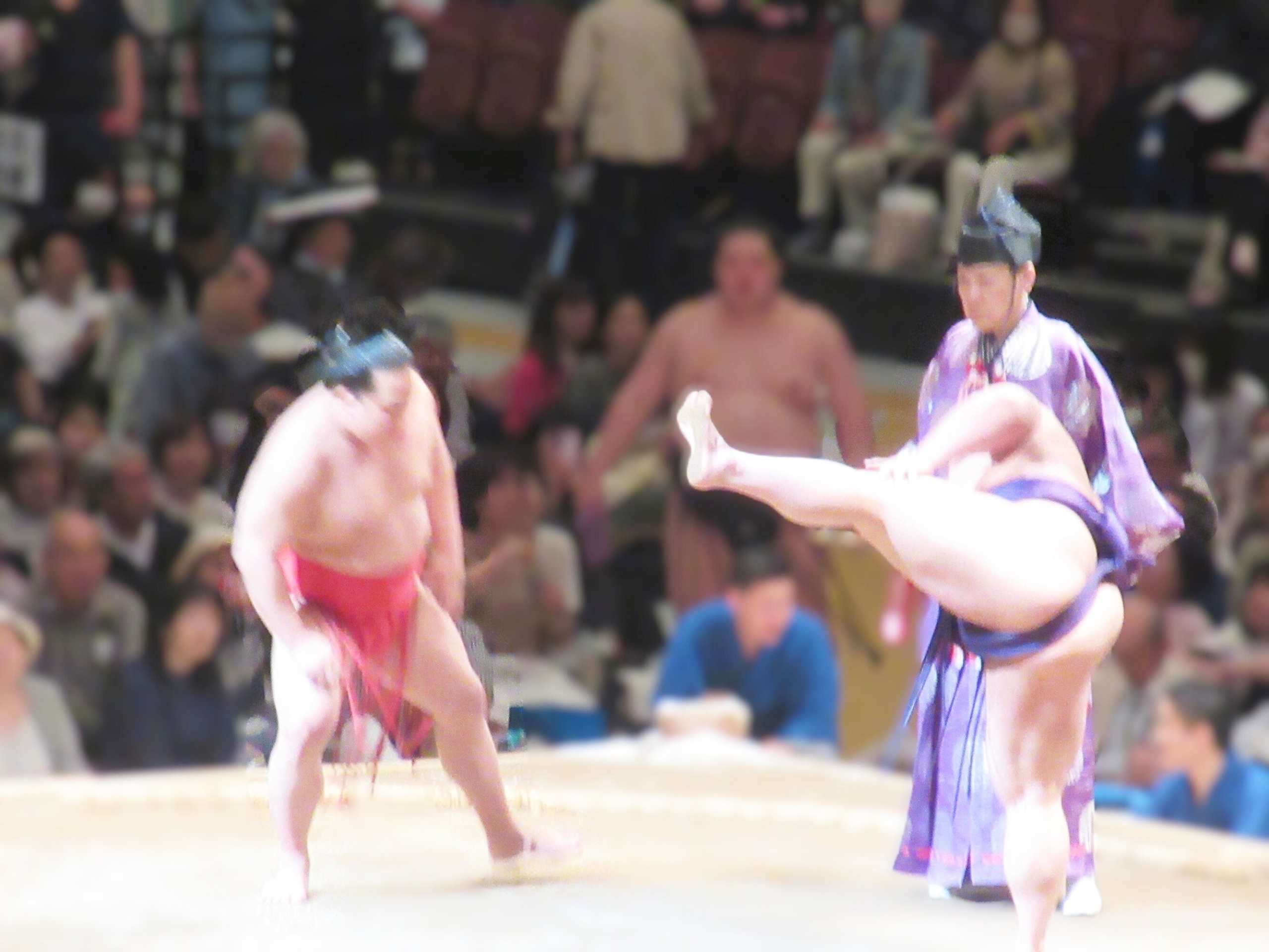 大相撲川崎場所 観戦-3　ニチイホーム登戸