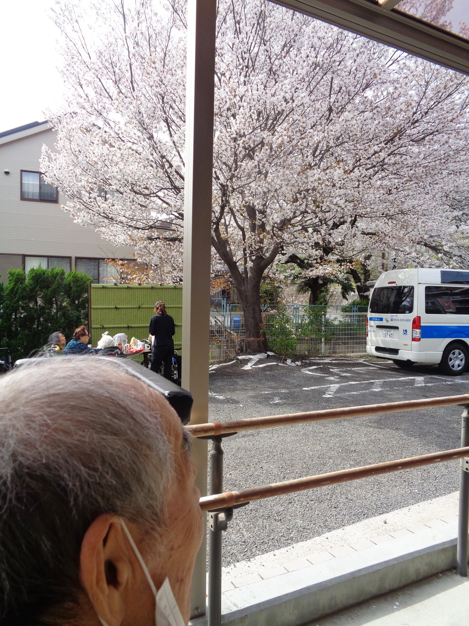 お花見-4　ニチイホーム王禅寺