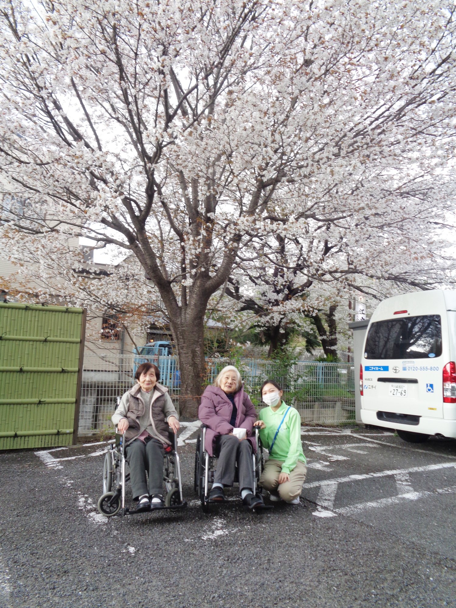 お花見-6　ニチイホーム王禅寺