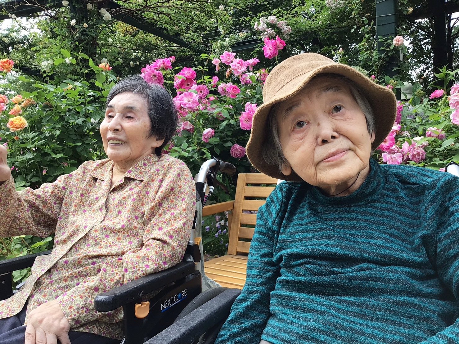 バラ園-2　ニチイホーム鷺ノ宮