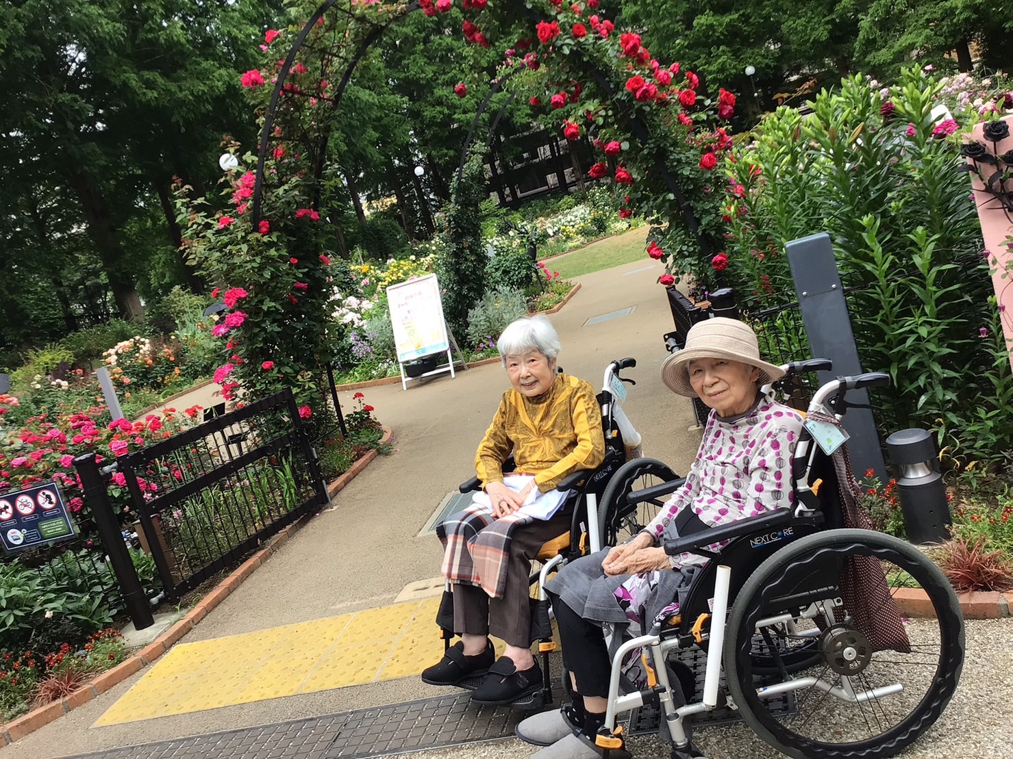 バラ園➁-6　ニチイホーム鷺ノ宮