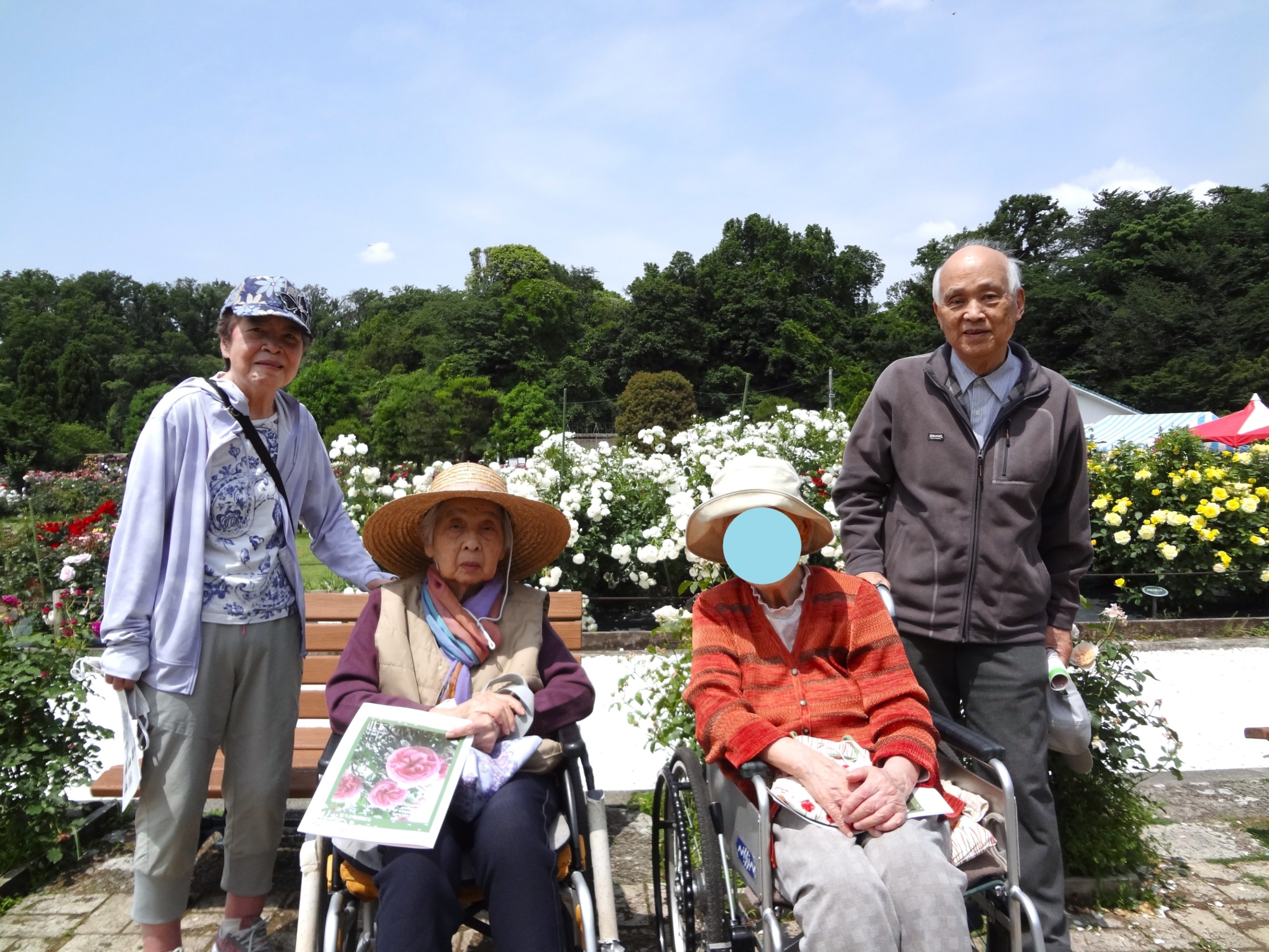 ばら苑へ行って来ました-5　ニチイホーム鷺沼南