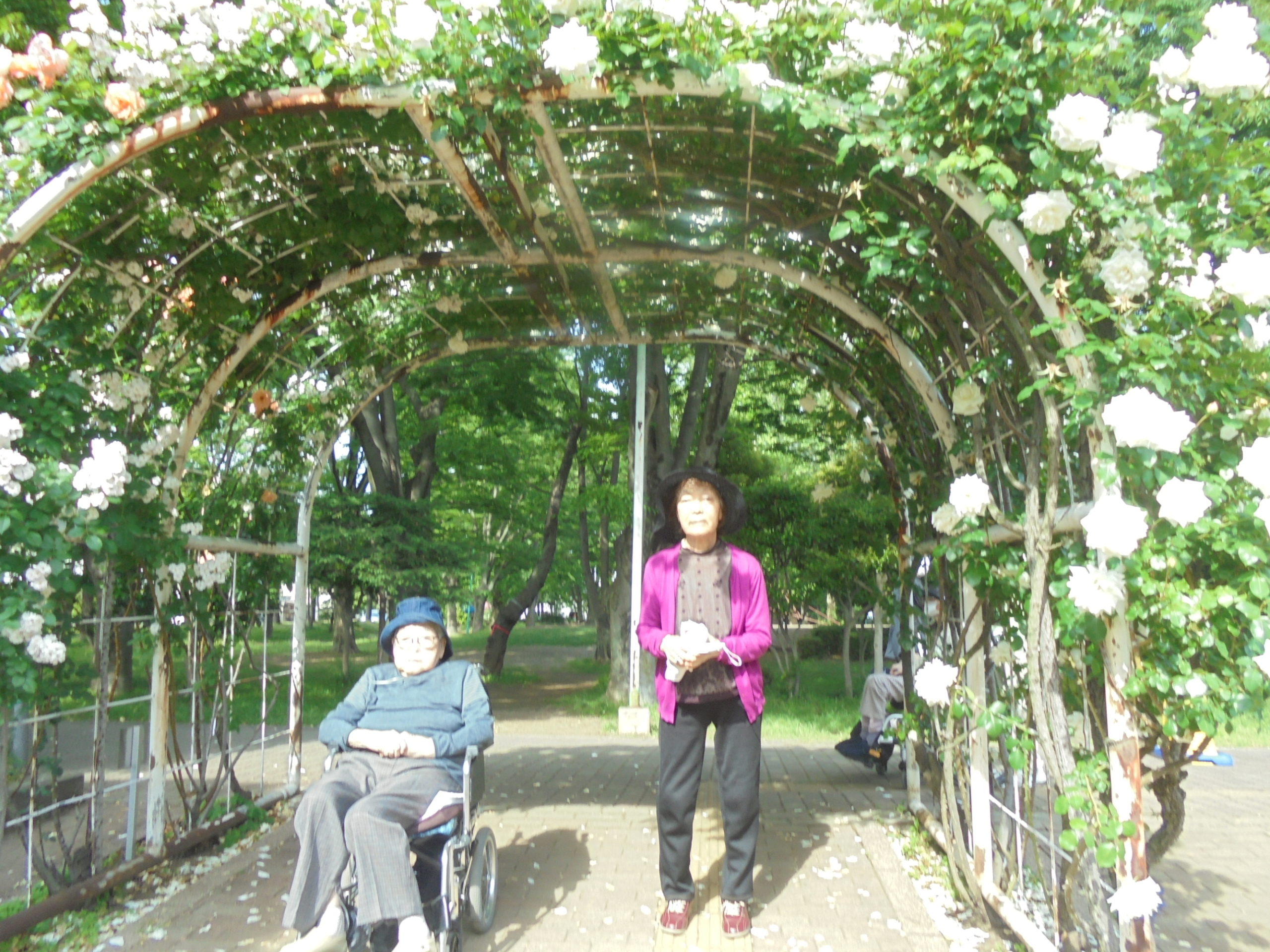 バラ公園へ-1　ニチイホームさいたま新都心