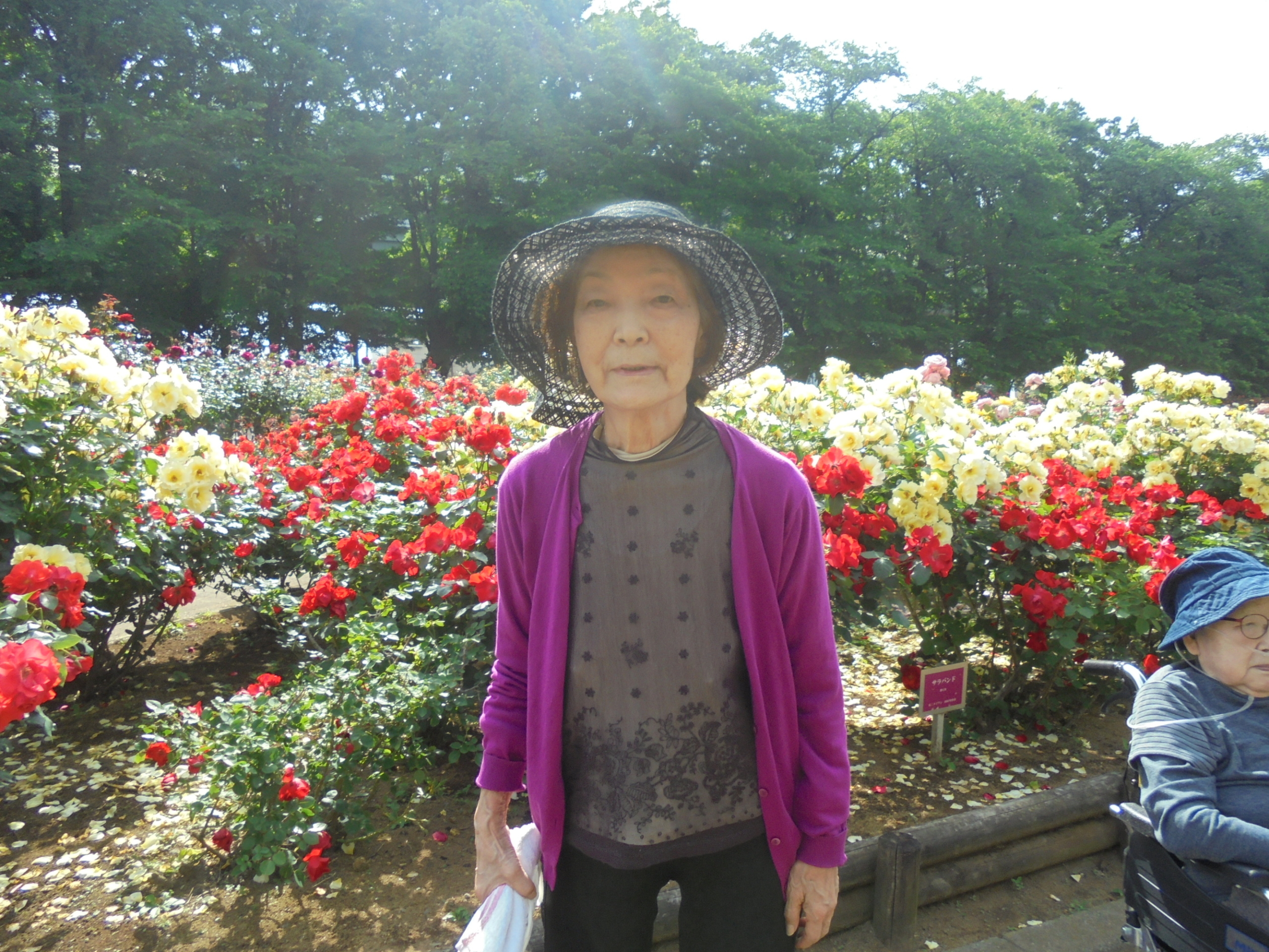 バラ公園へ-3　ニチイホームさいたま新都心