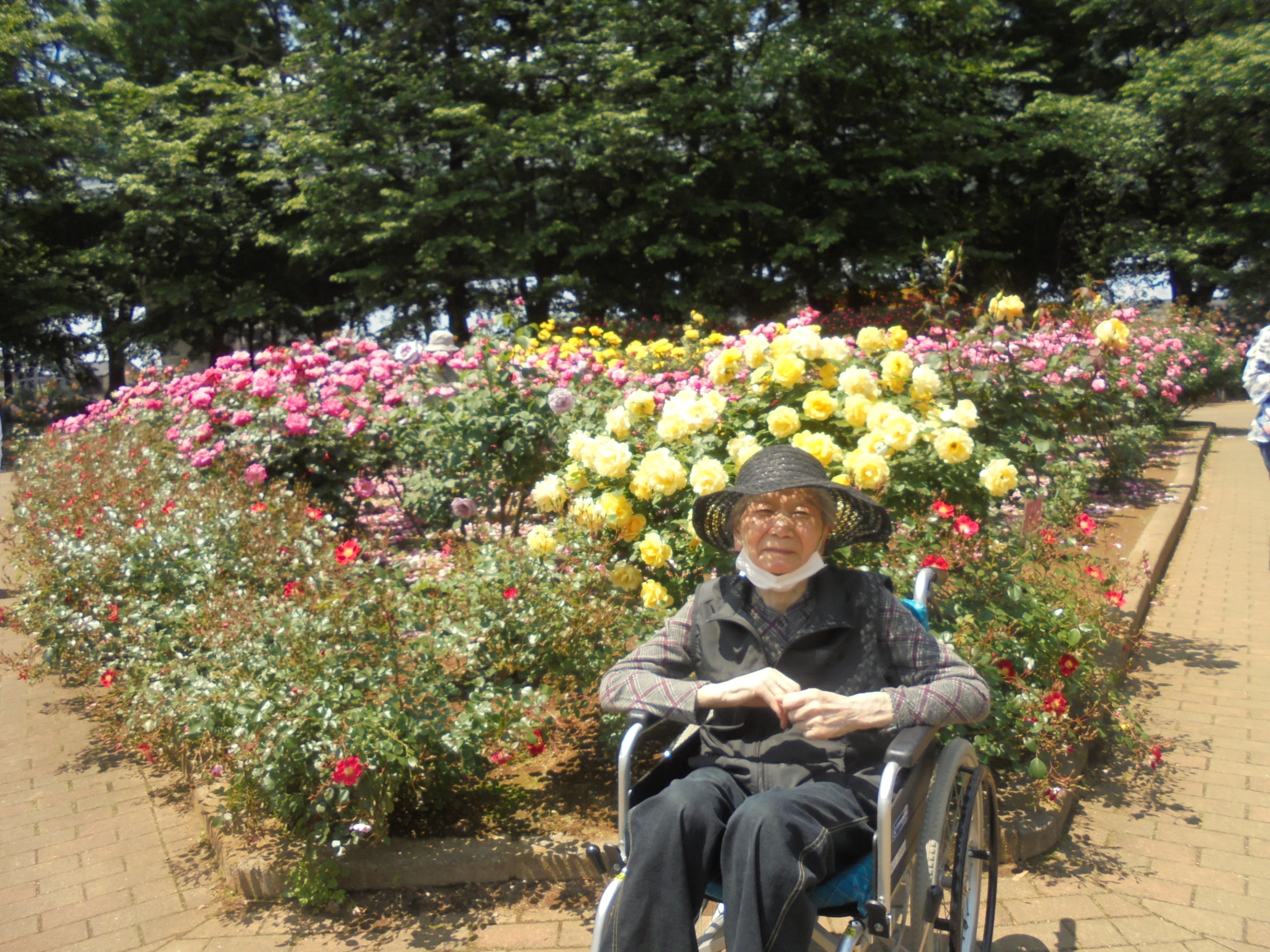 バラ公園へ-5　ニチイホームさいたま新都心